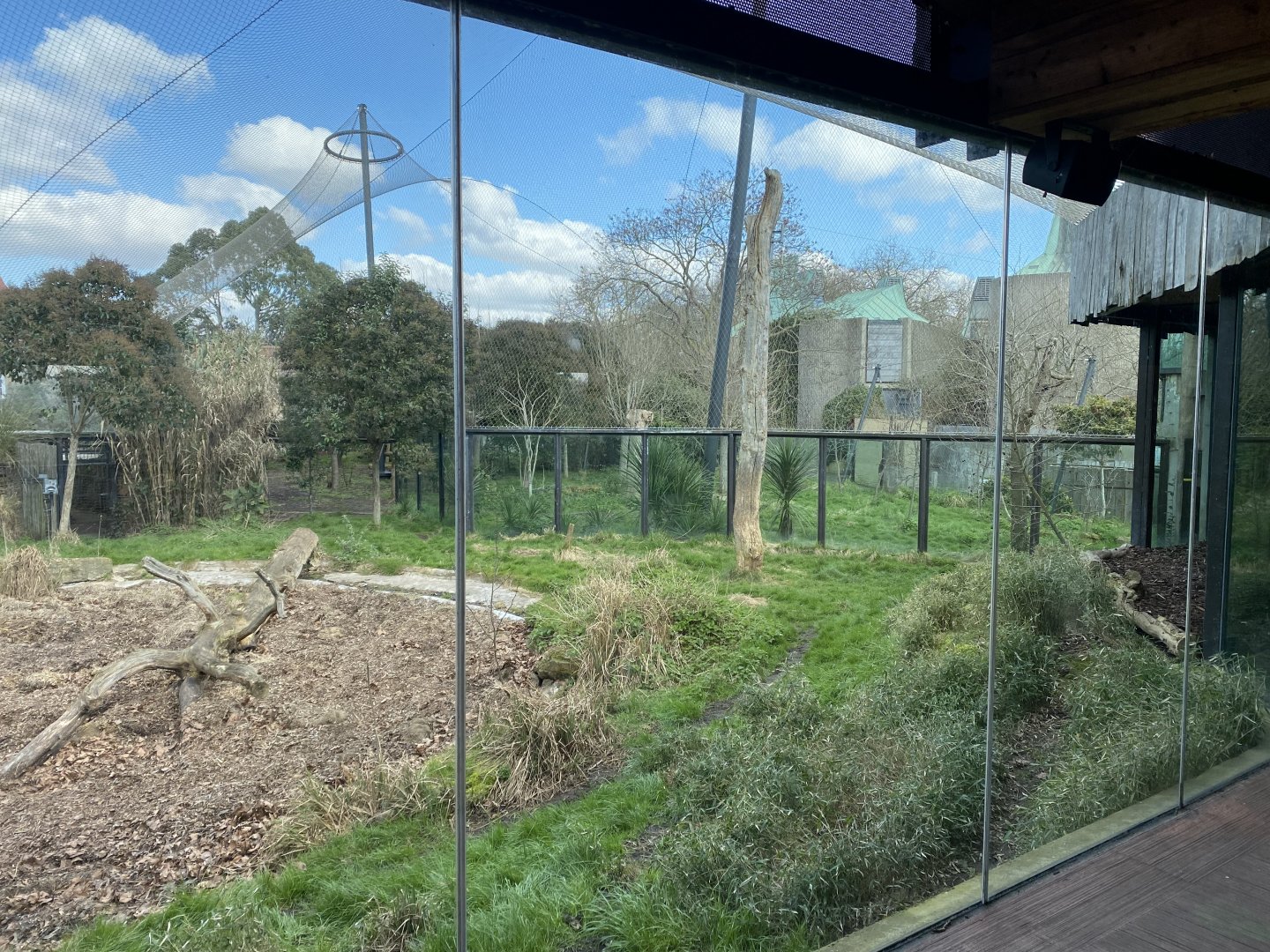 Tiger Territory - Sumatran tiger enclosure 180322