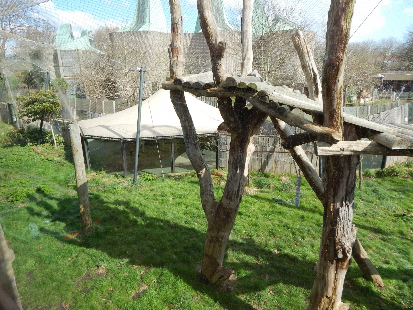 Tiger Territory - Sumatran tiger enclosure 180322