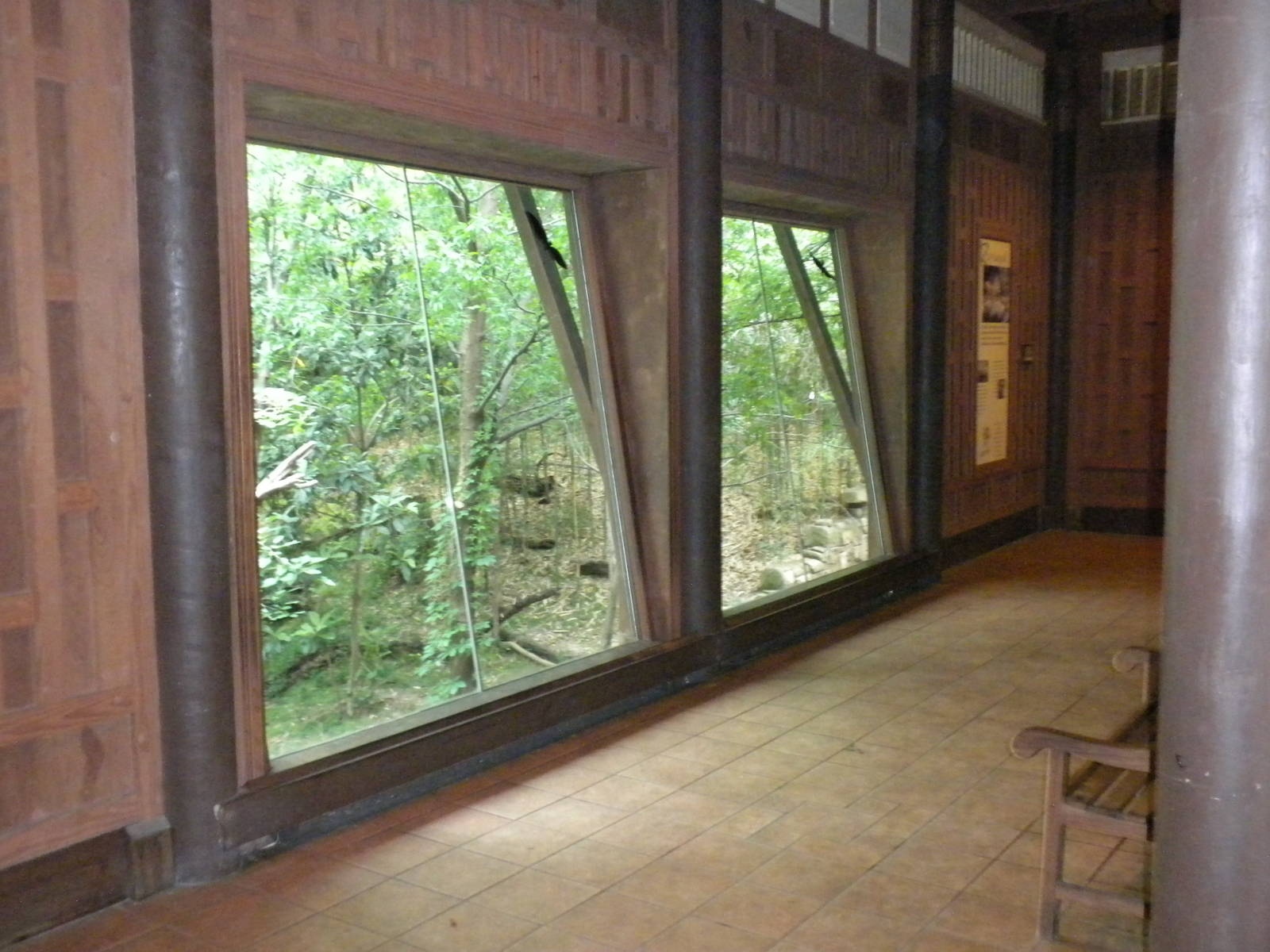 Tiger "Thai" building and viewing