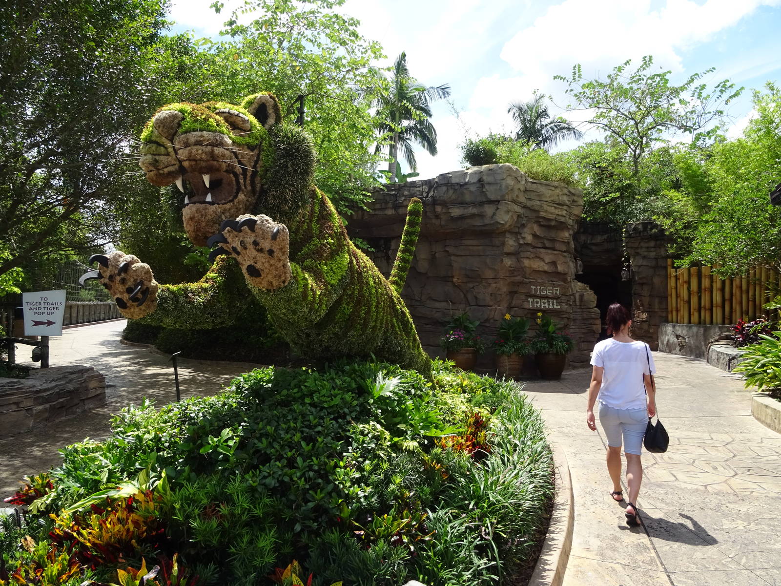 Tiger Topiary at Busch Gardens Tampa