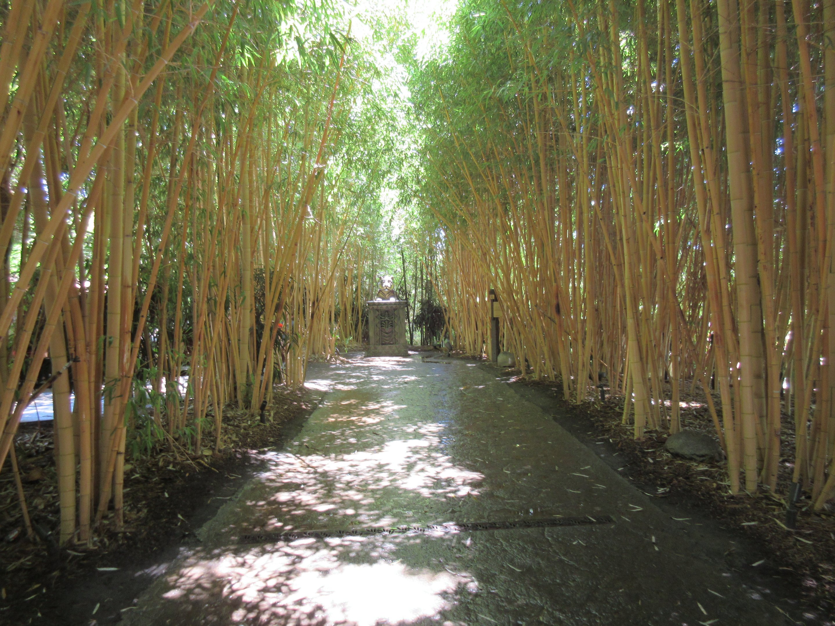 Tiger Trail - Bamboo Entrance Zone