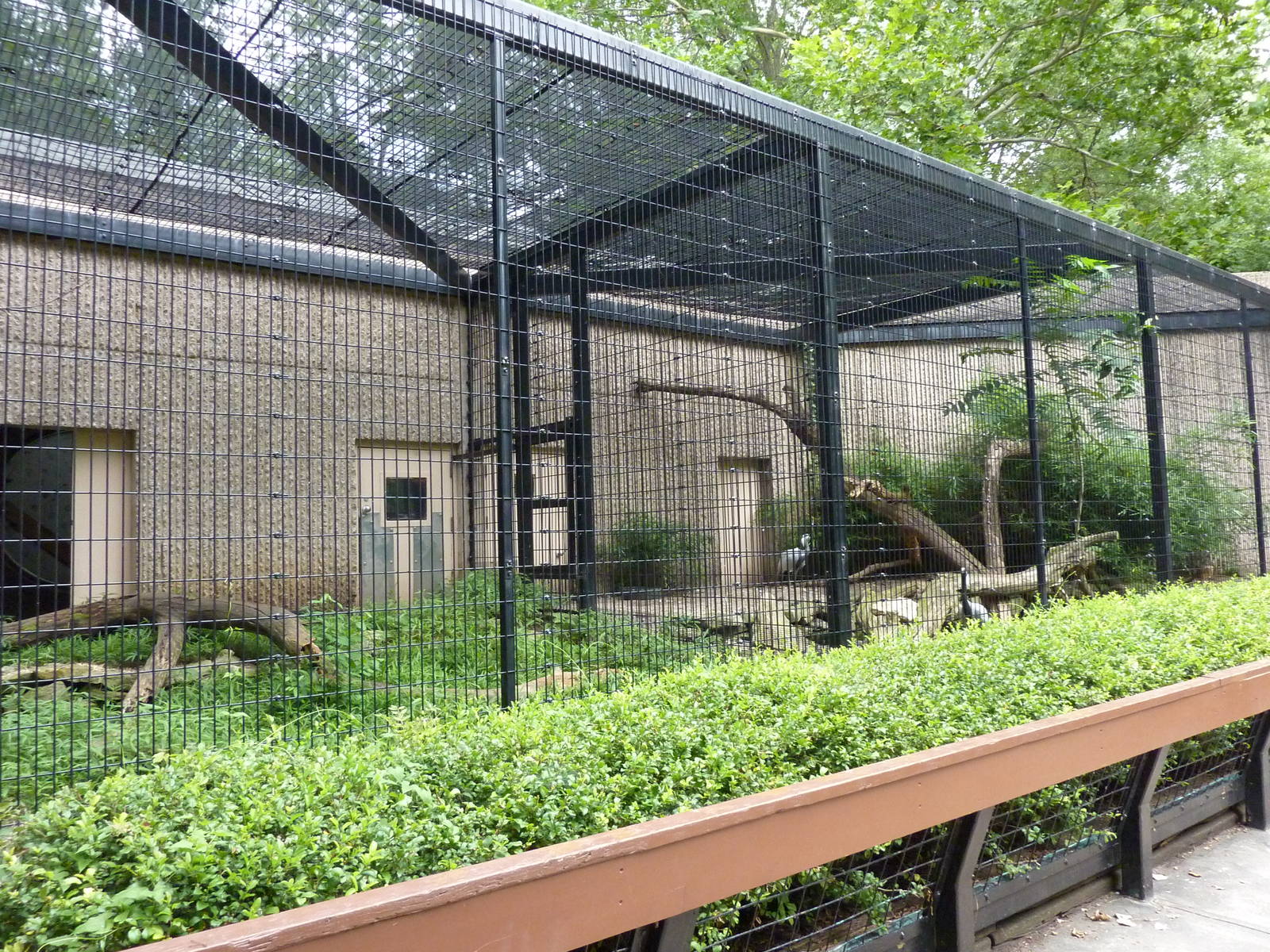 Tiger Trail - Binturong + Demoiselle Crane Enclosures