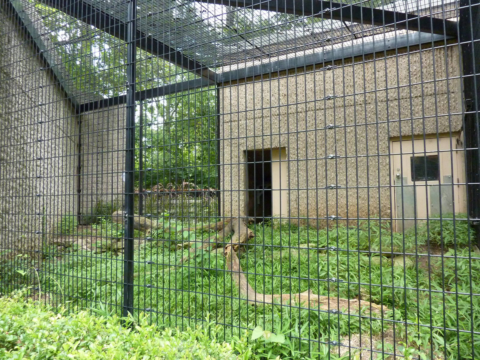 Tiger Trail - Binturong Enclosure