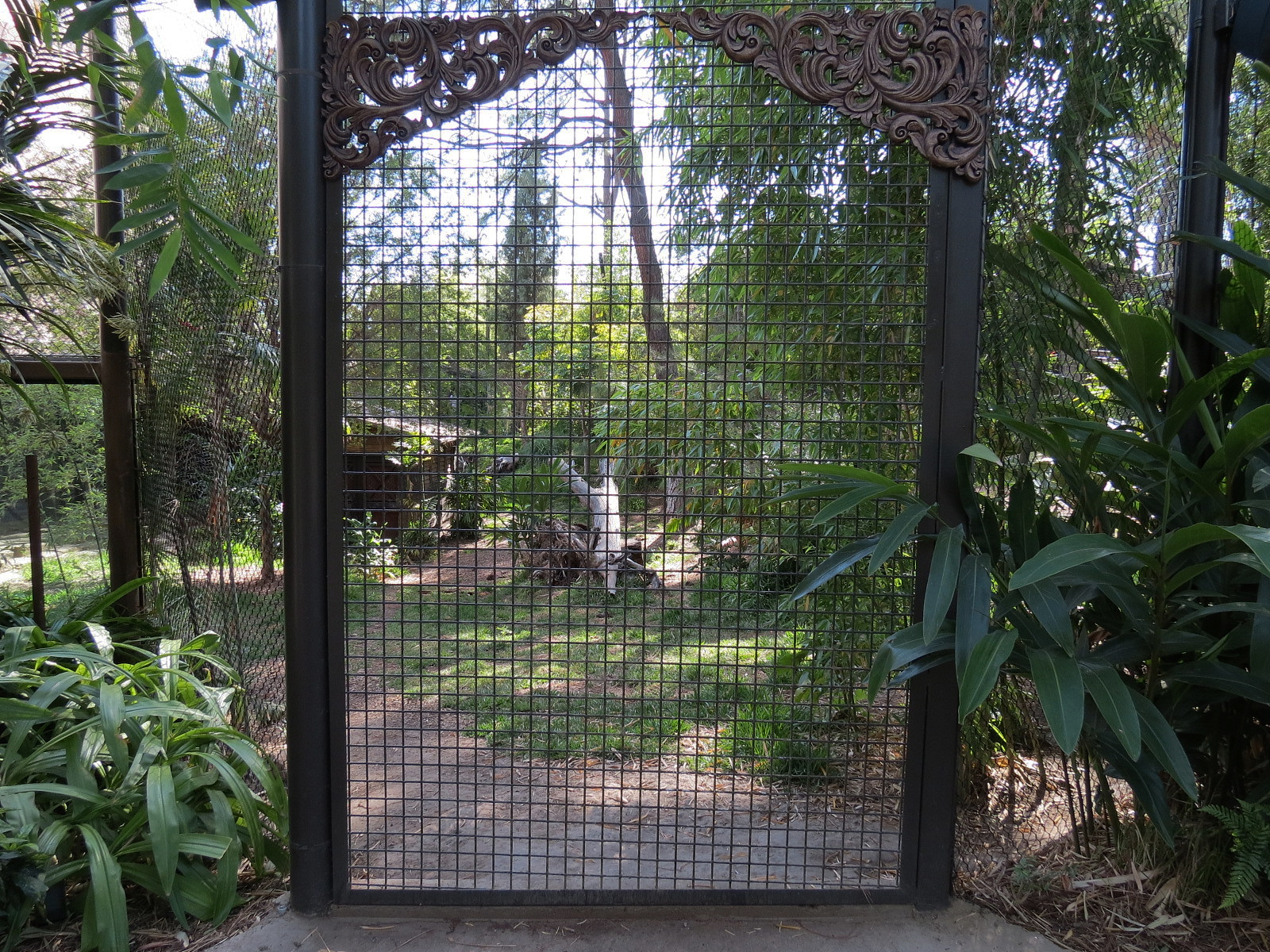 Tiger Trail - First Sumatran Tiger Exhibit - Interaction Wall