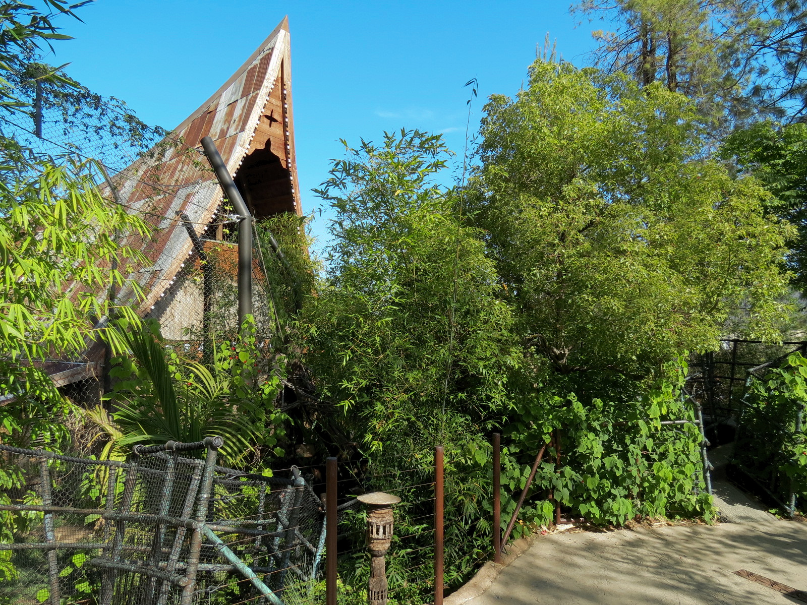 Tiger Trail - First Sumatran Tiger Exhibit - Visitor Path