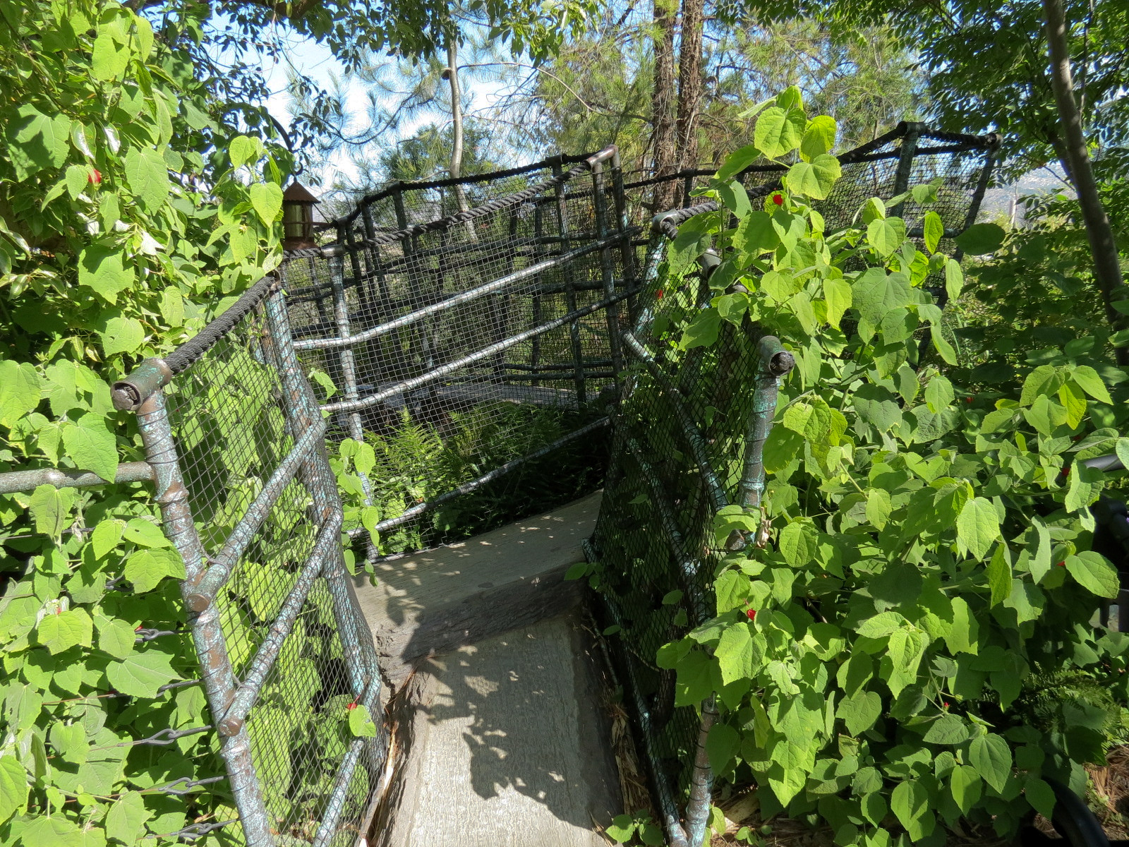 Tiger Trail - First Sumatran Tiger Exhibit - Visitor Path