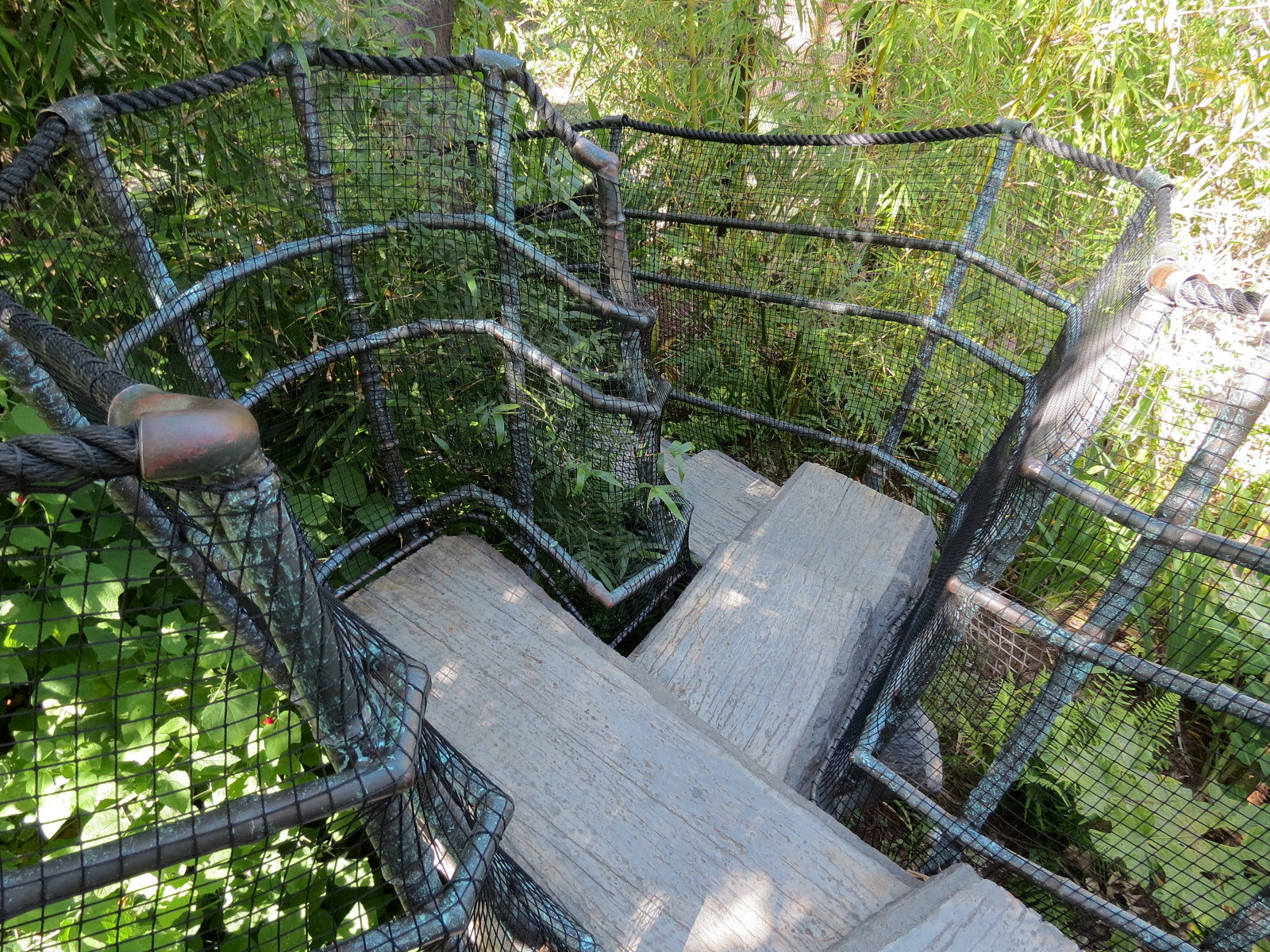 Tiger Trail - First Sumatran Tiger Exhibit - Visitor Path