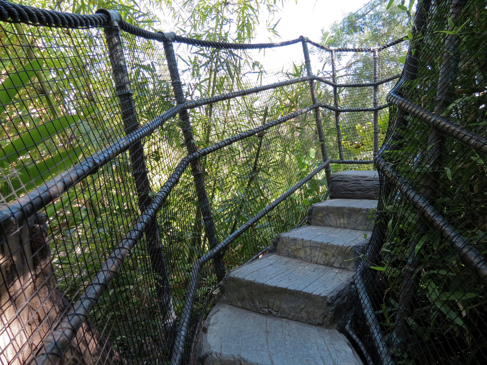 Tiger Trail - First Sumatran Tiger Exhibit - Visitor Path