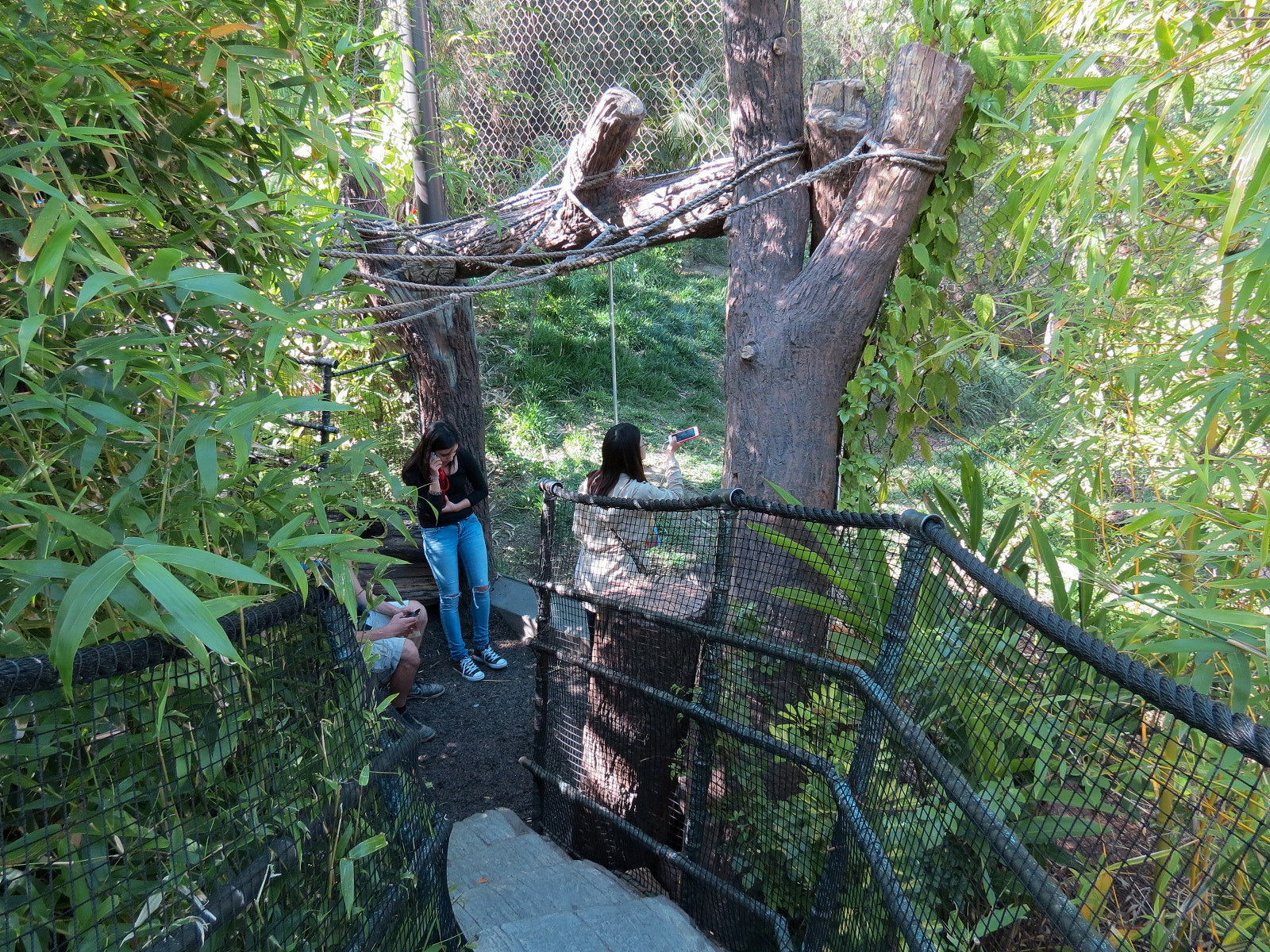 Tiger Trail - First Sumatran Tiger Exhibit - Visitor Path