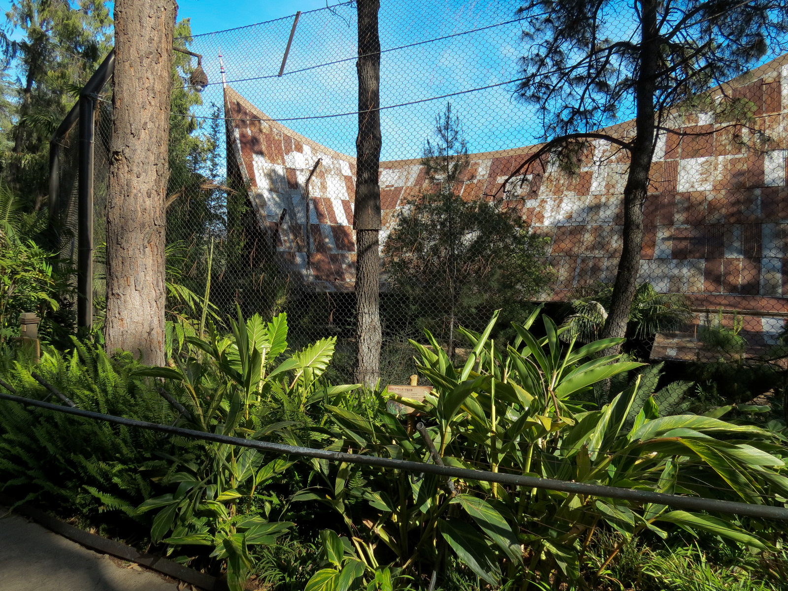 Tiger Trail - First Sumatran Tiger Exhibit