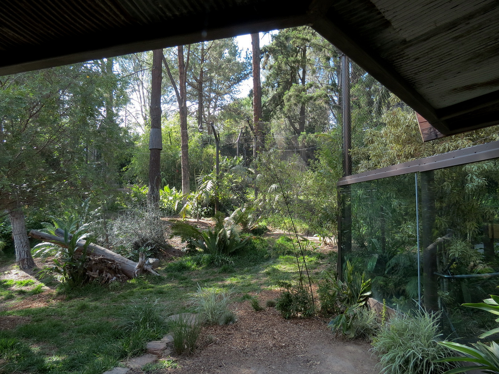 Tiger Trail - First Sumatran Tiger Exhibit