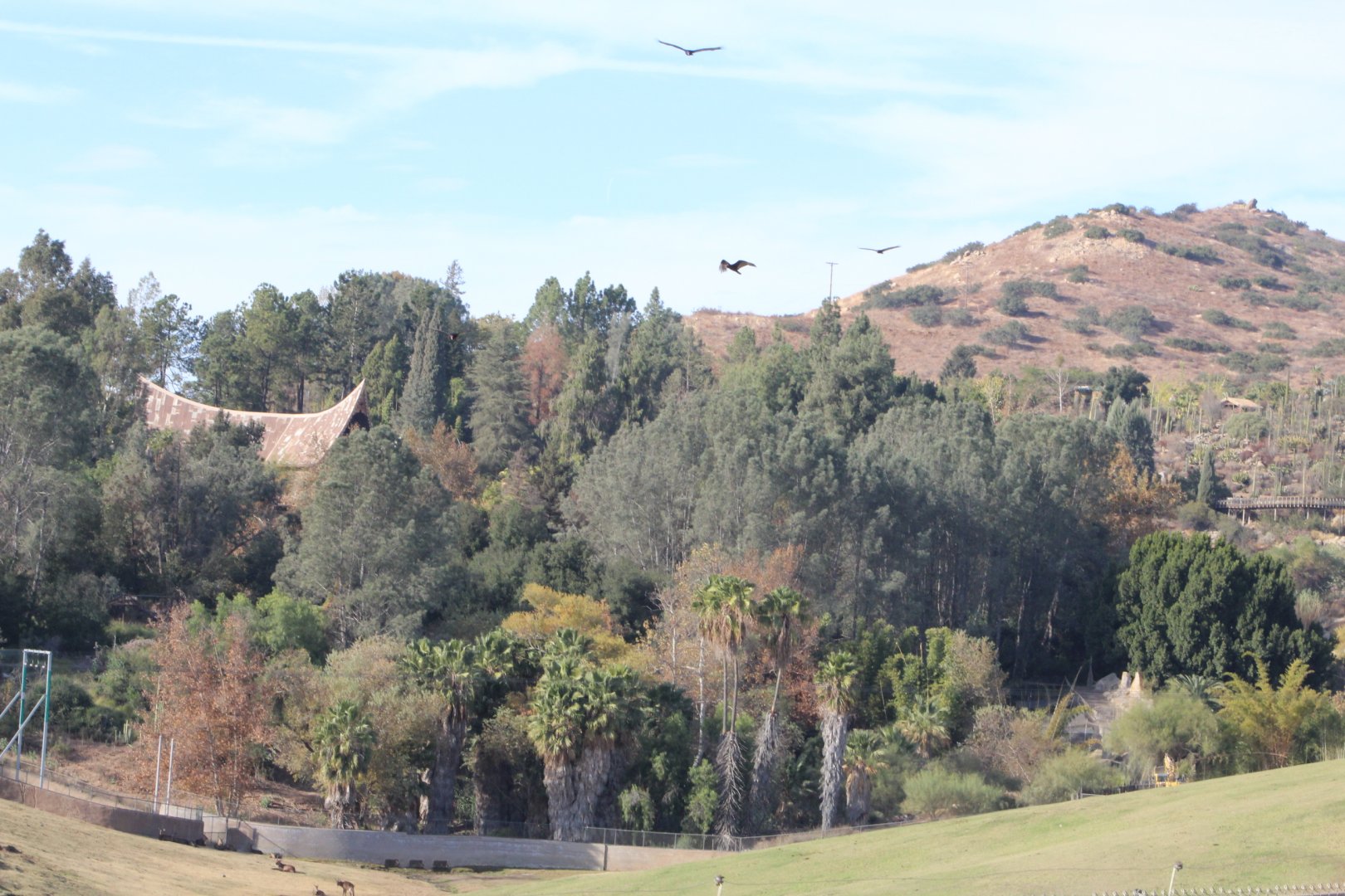 Tiger Trail from Afar