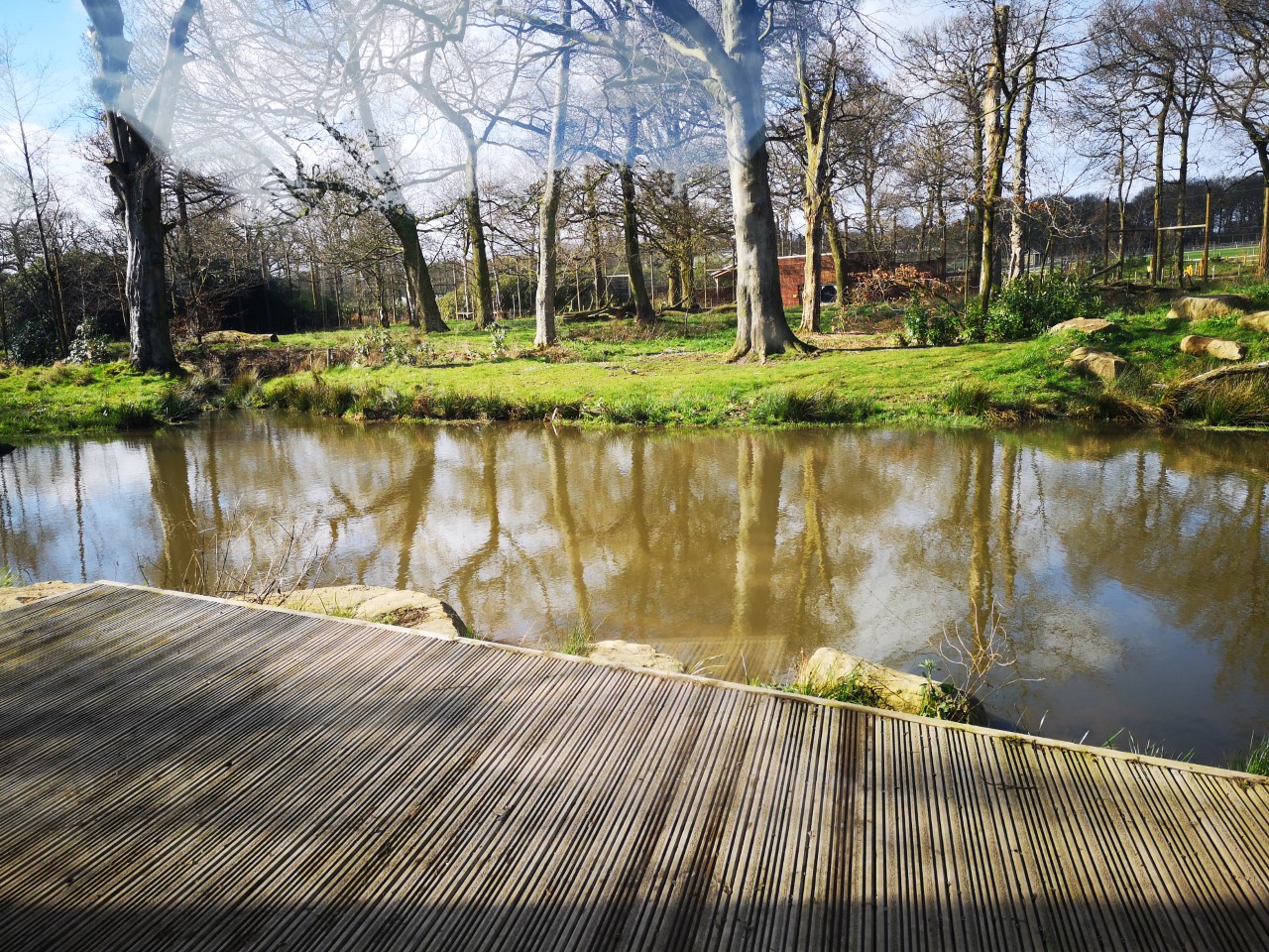 Tiger Trail Jan 2019