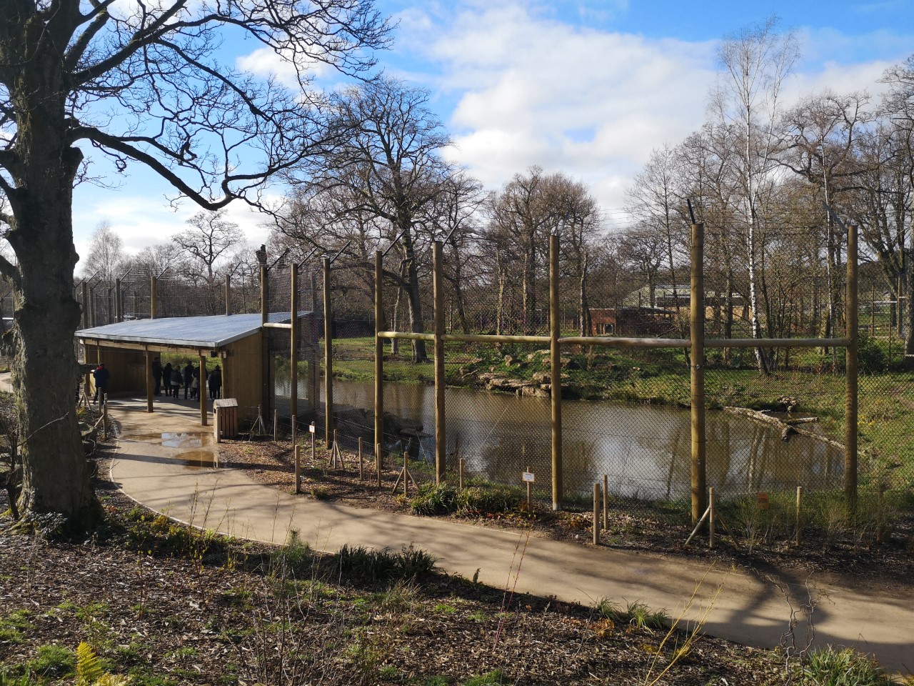 Tiger Trail Jan 2019