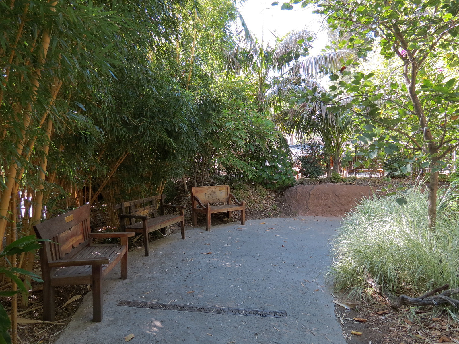 Tiger Trail - Main Entrance Path
