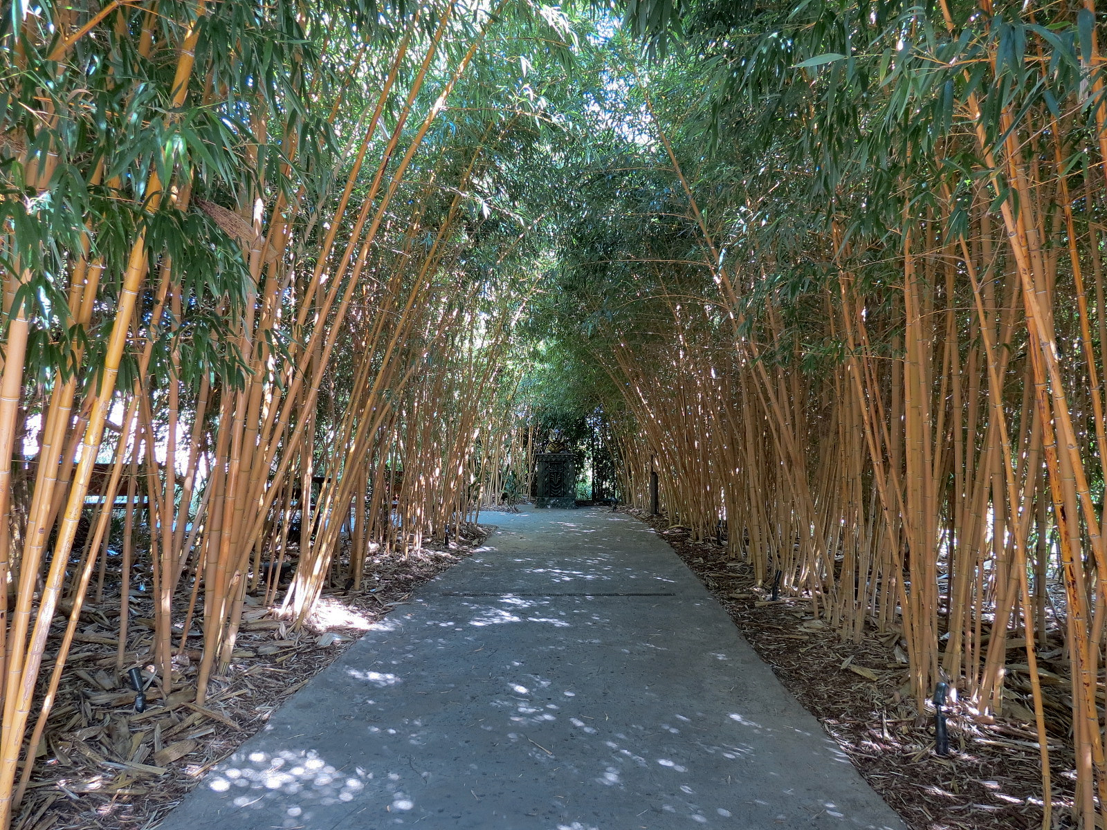 Tiger Trail - Main Entrance