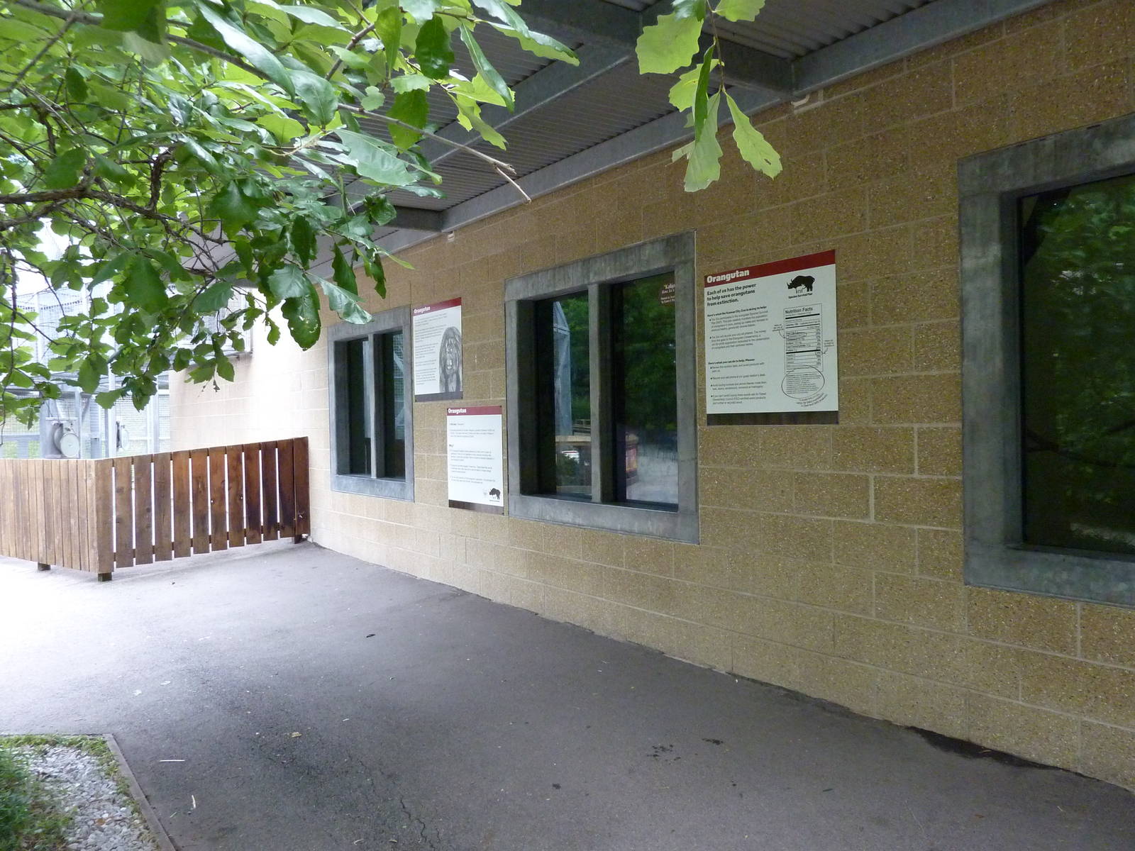 Tiger Trail - Orangutan Enclosure - Viewing Windows