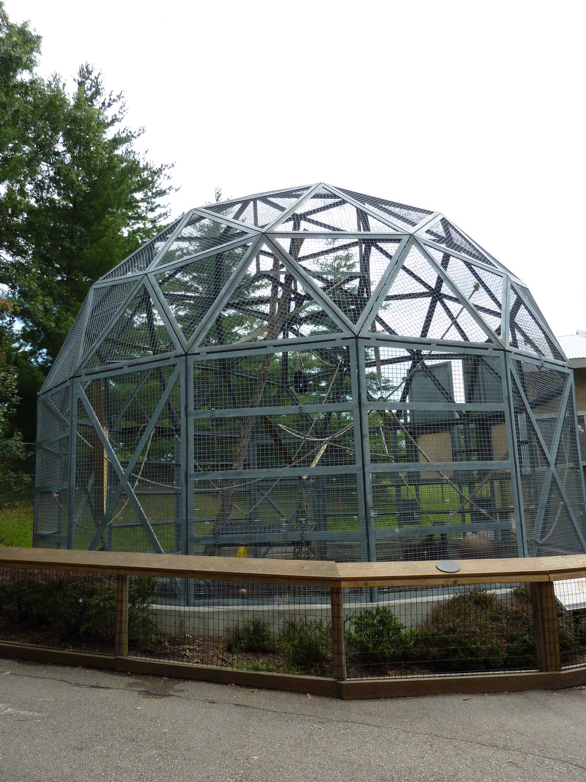 Tiger Trail - Orangutan Enclosure