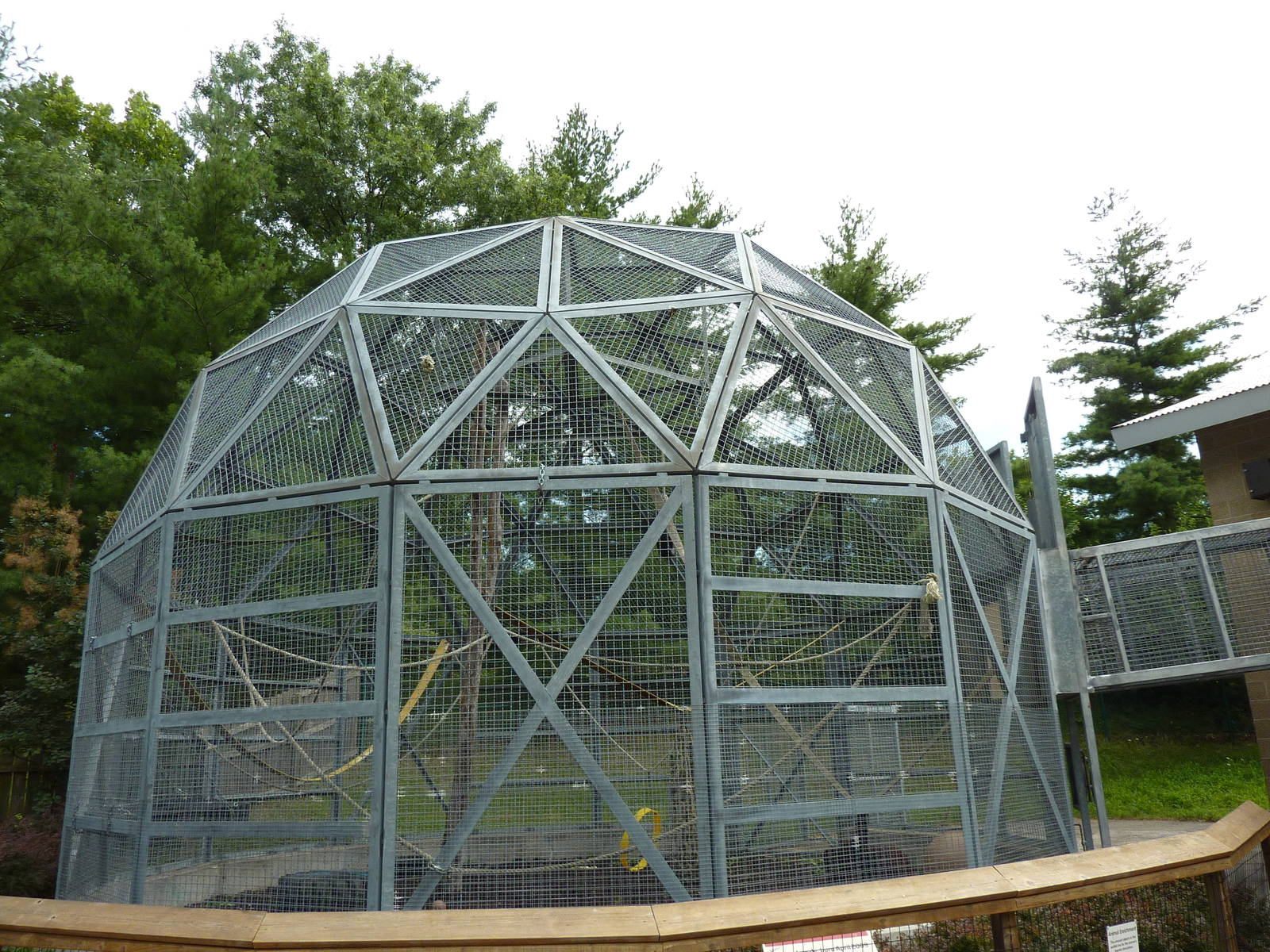 Tiger Trail - Orangutan Enclosure