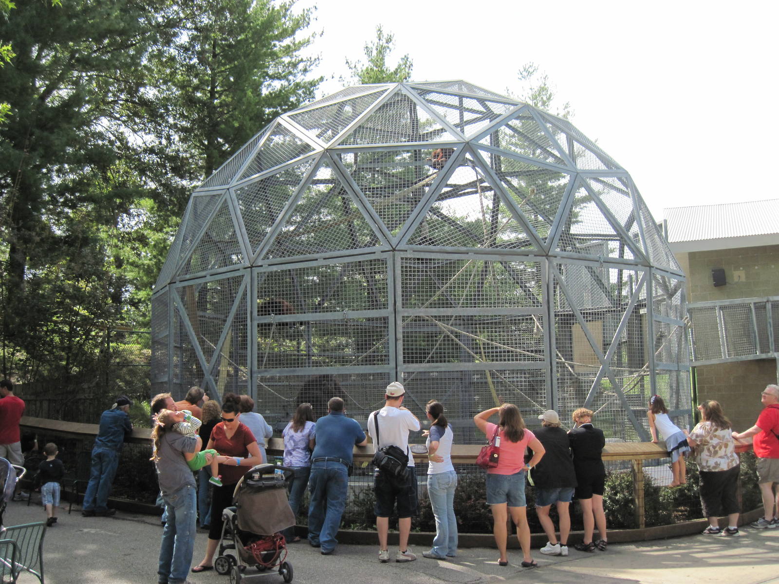 Tiger Trail-Orangutan Exhibit