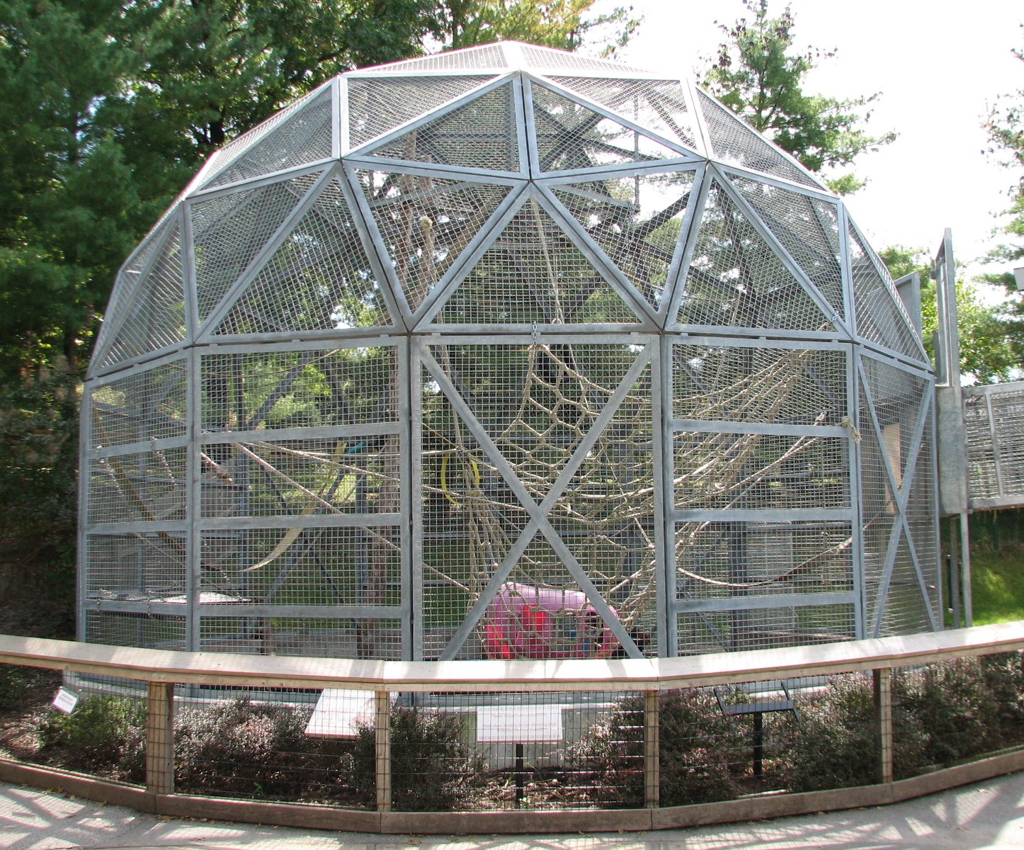 Tiger Trail - Orangutan Exhibit