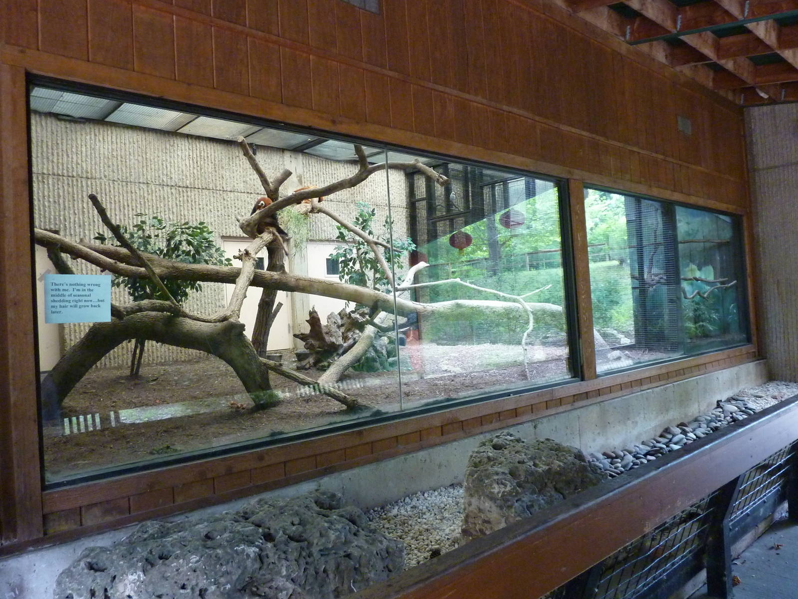 Tiger Trail - Red Panda Enclosure