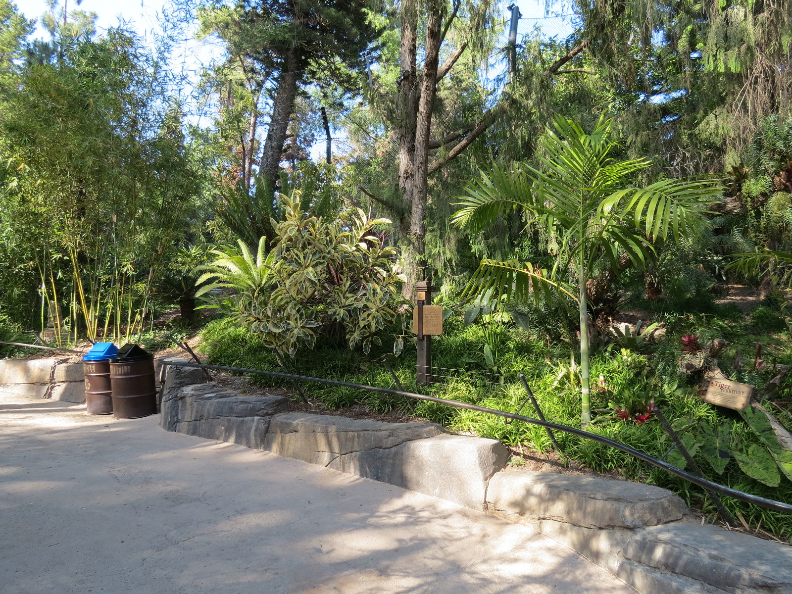 Tiger Trail - Second Sumatran Tiger Exhibit Path
