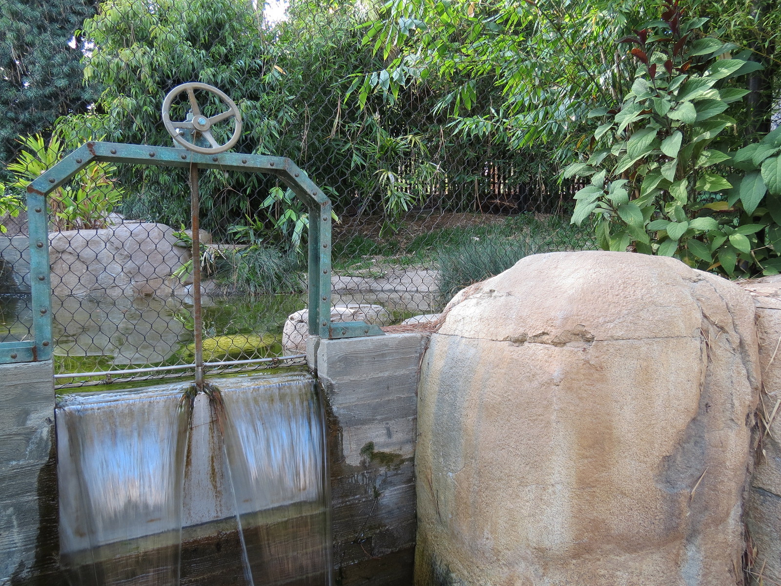 Tiger Trail - Second Sumatran Tiger Exhibit