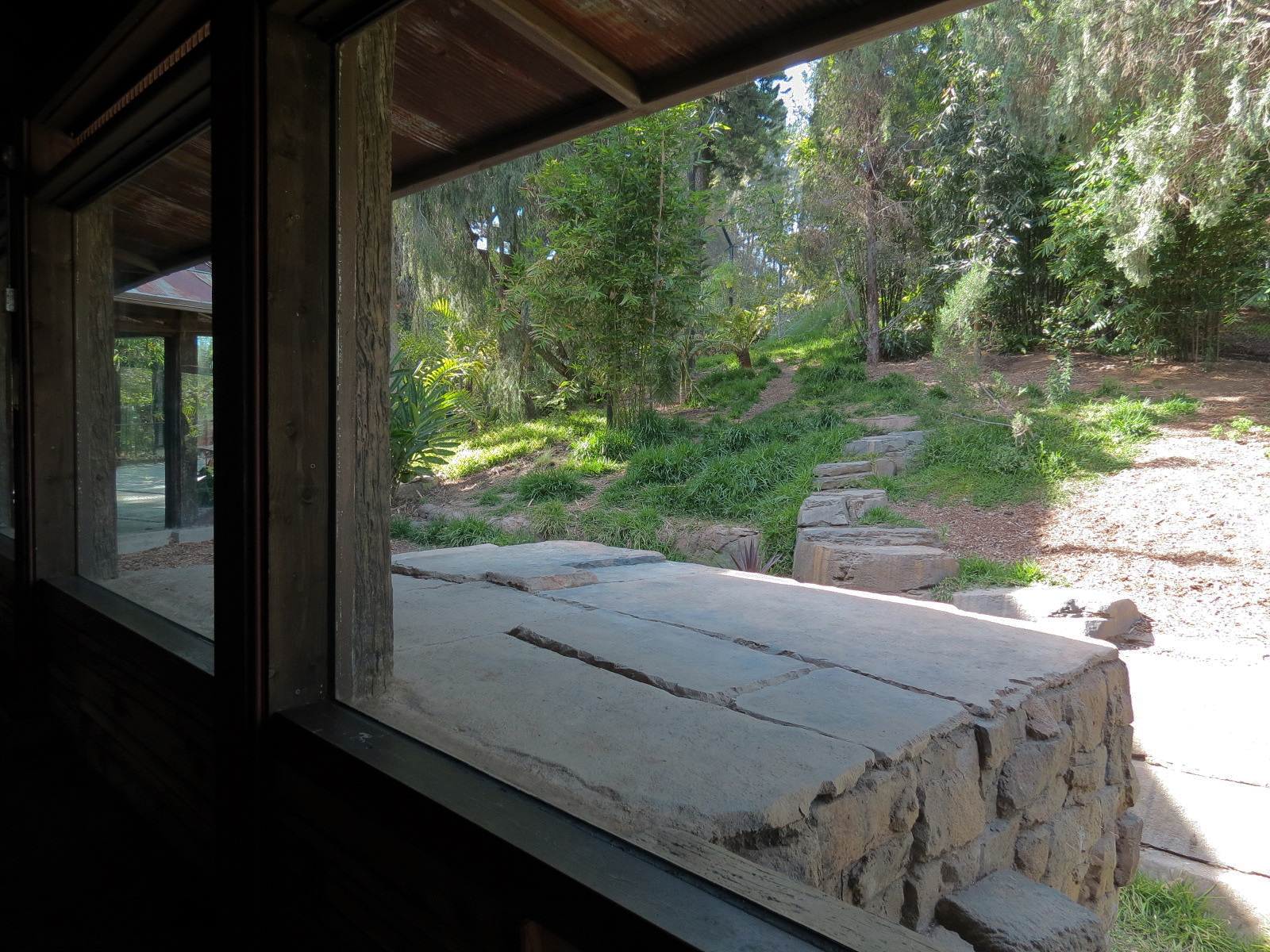 Tiger Trail - Second Sumatran Tiger Exhibit