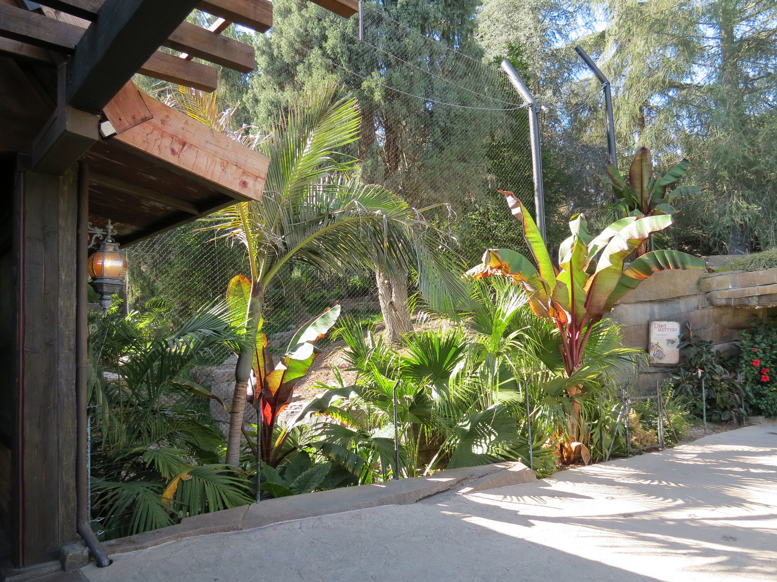 Tiger Trail - Second Sumatran Tiger Exhibit