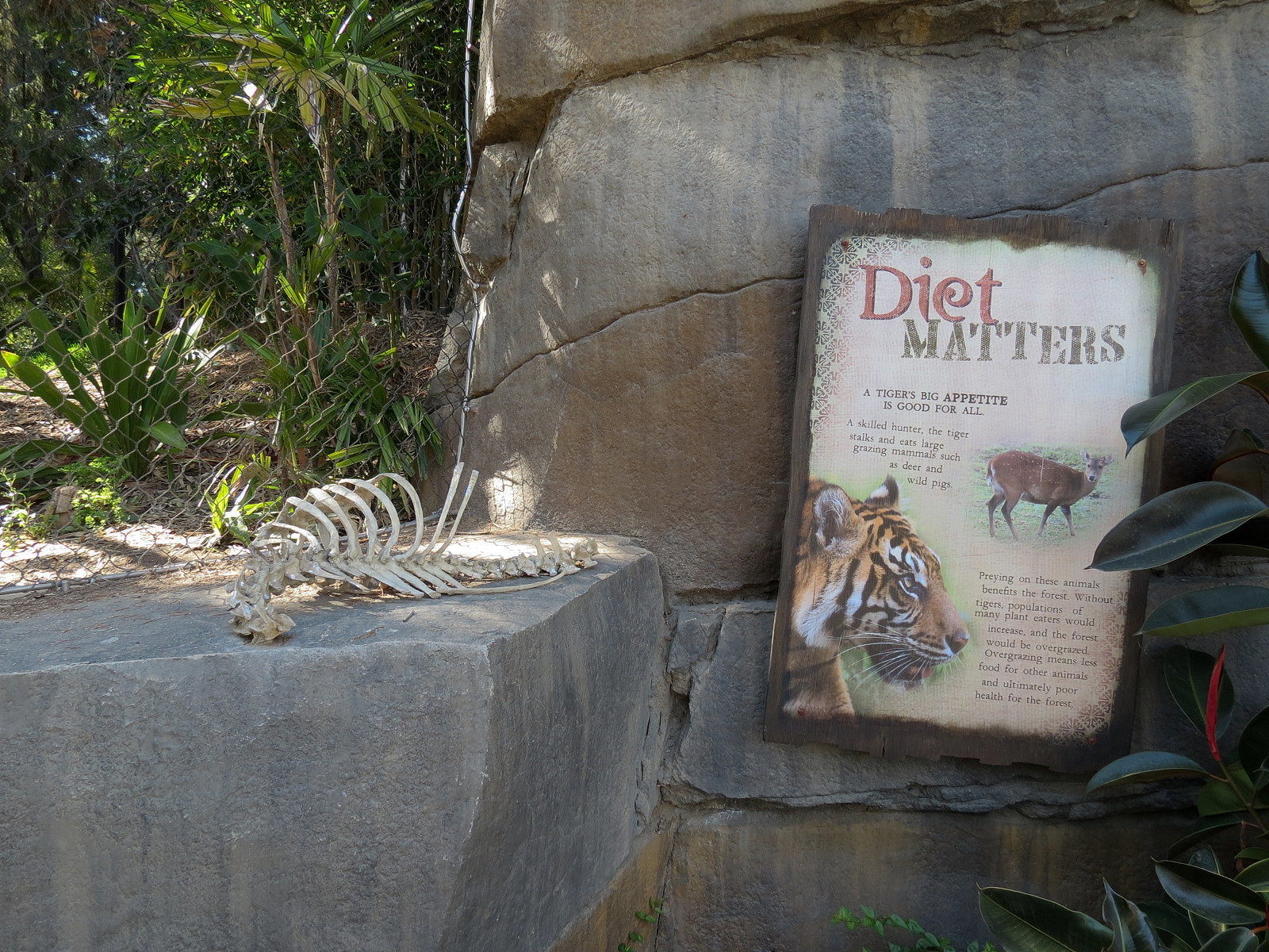 Tiger Trail - Second Sumatran Tiger Exhibit