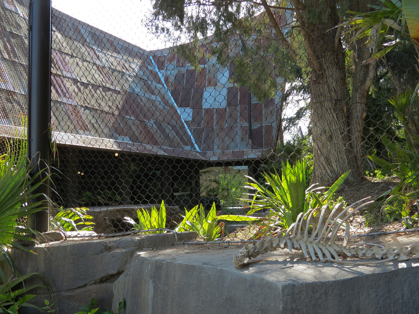 Tiger Trail - Second Sumatran Tiger Exhibit