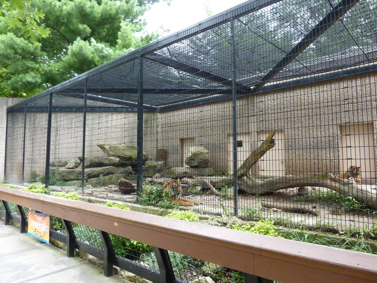 Tiger Trail - Sumatran Tiger Enclosure