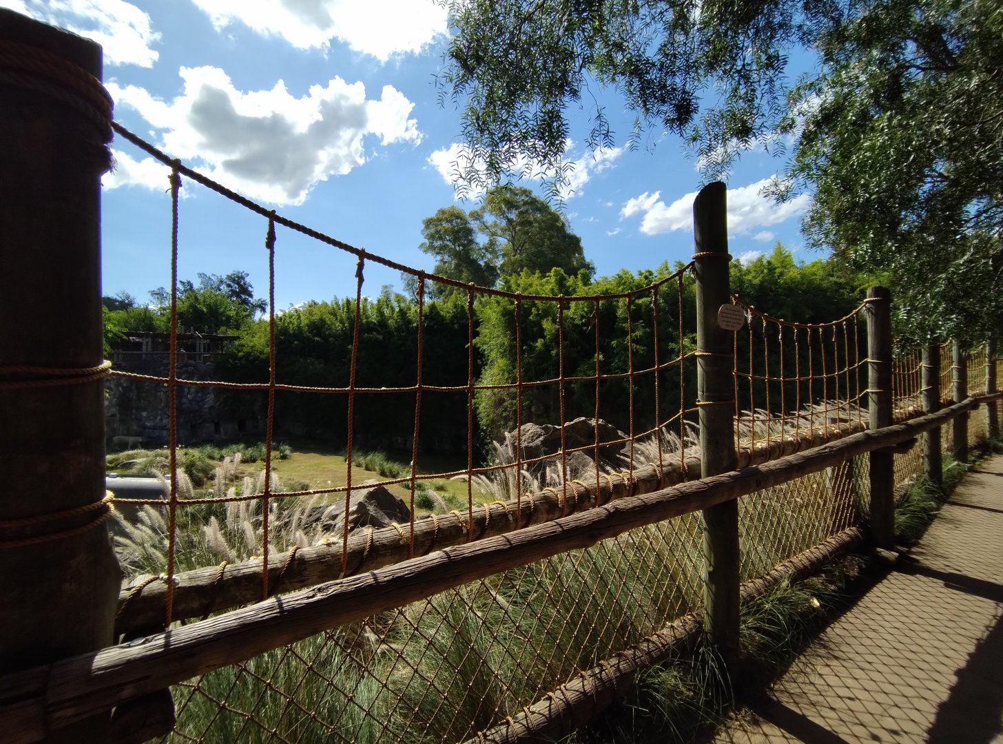 Tiger trail - Temaiken