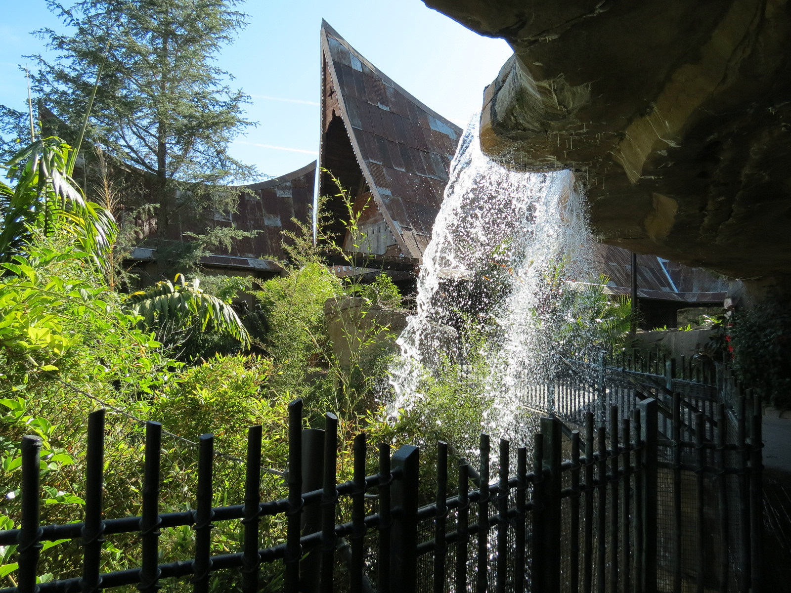 Tiger Trail - Third Sumatran Tiger Exhibit - Waterfall Viewing Area