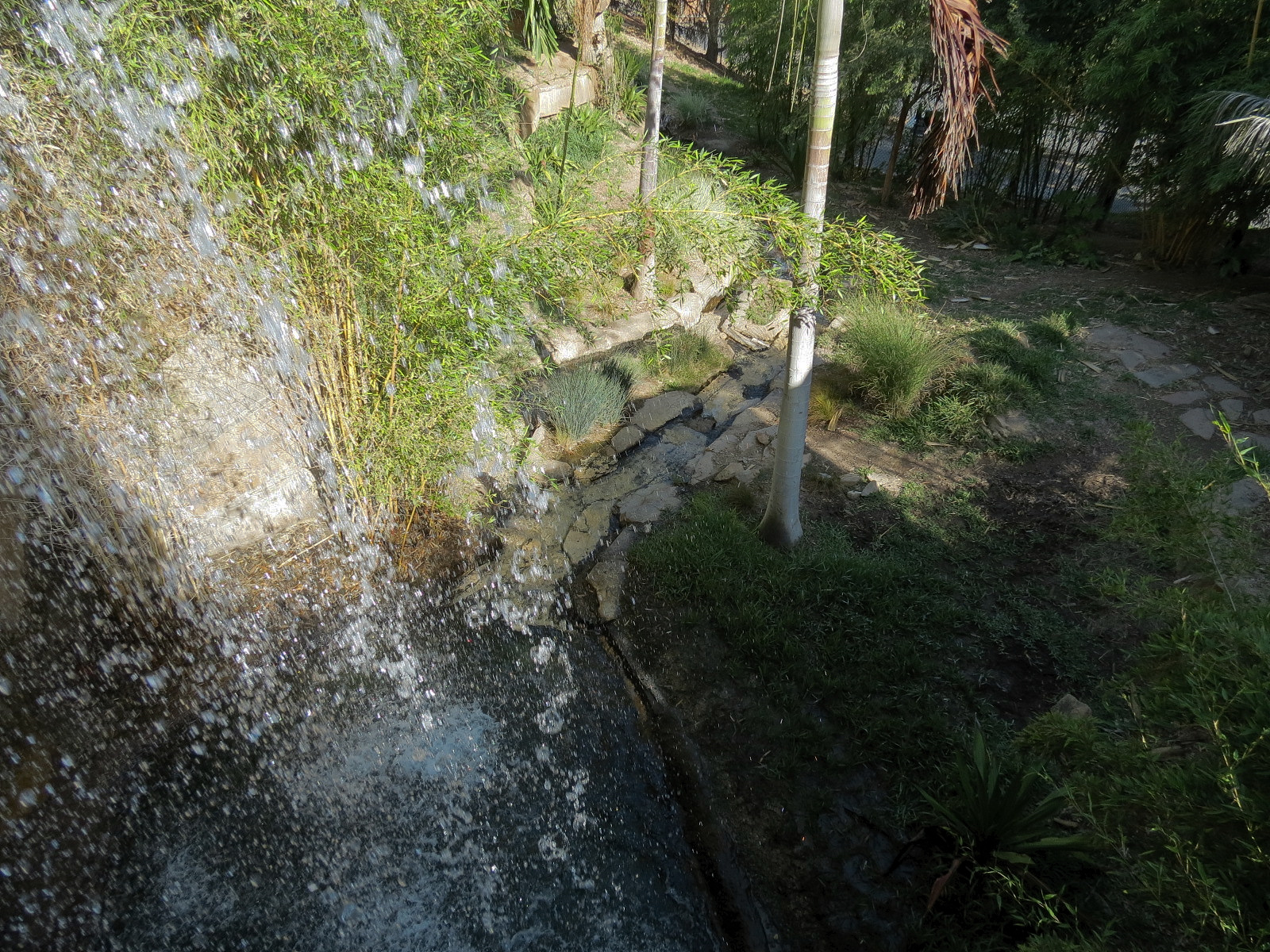 Tiger Trail - Third Sumatran Tiger Exhibit