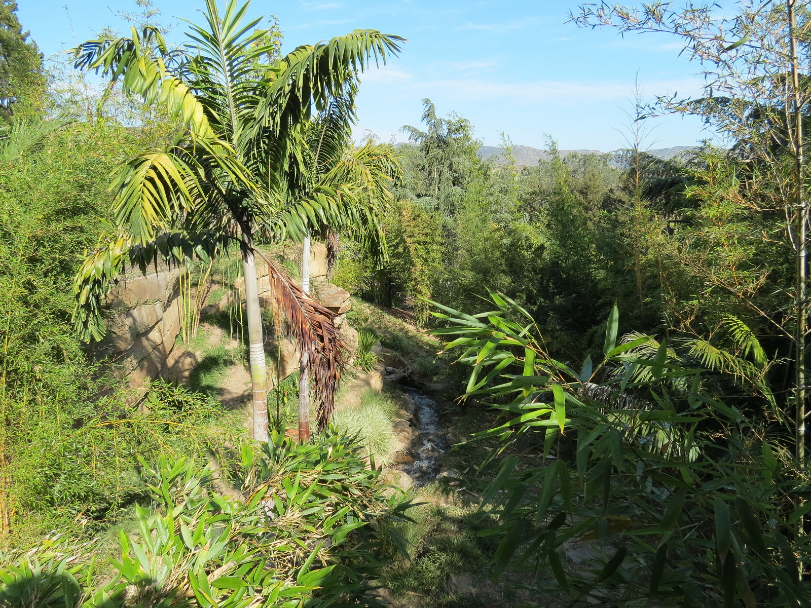 Tiger Trail - Third Sumatran Tiger Exhibit