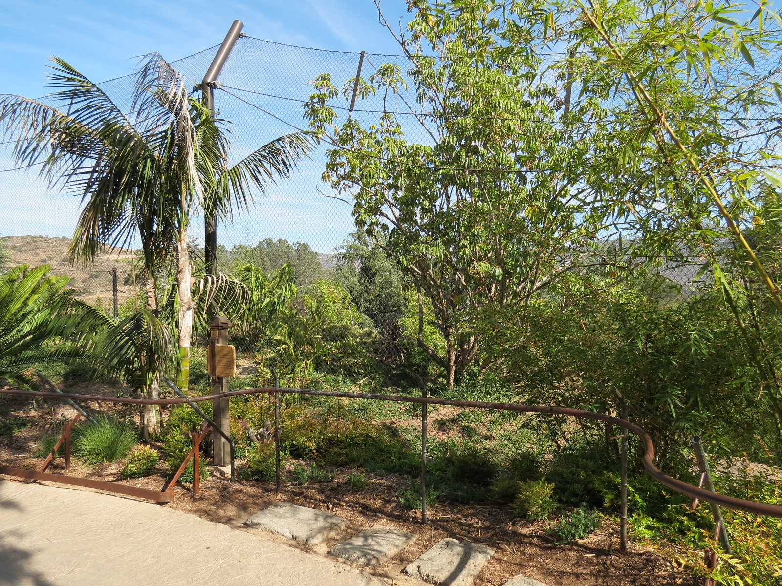 Tiger Trail - Third Sumatran Tiger Exhibit