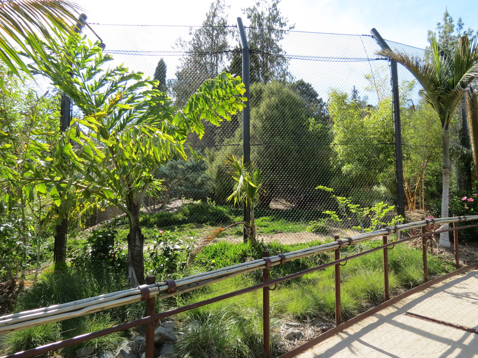 Tiger Trail - Third Sumatran Tiger Exhibit