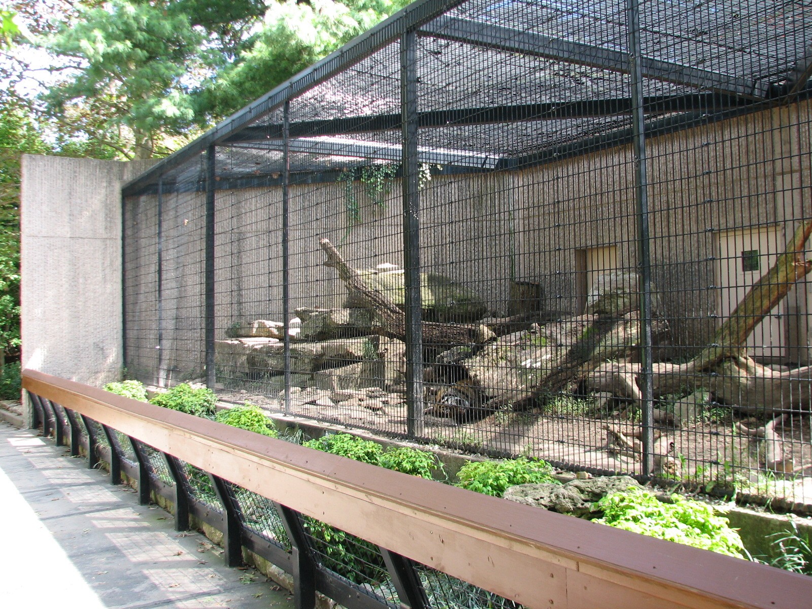 Tiger Trail - Tiger Exhibit