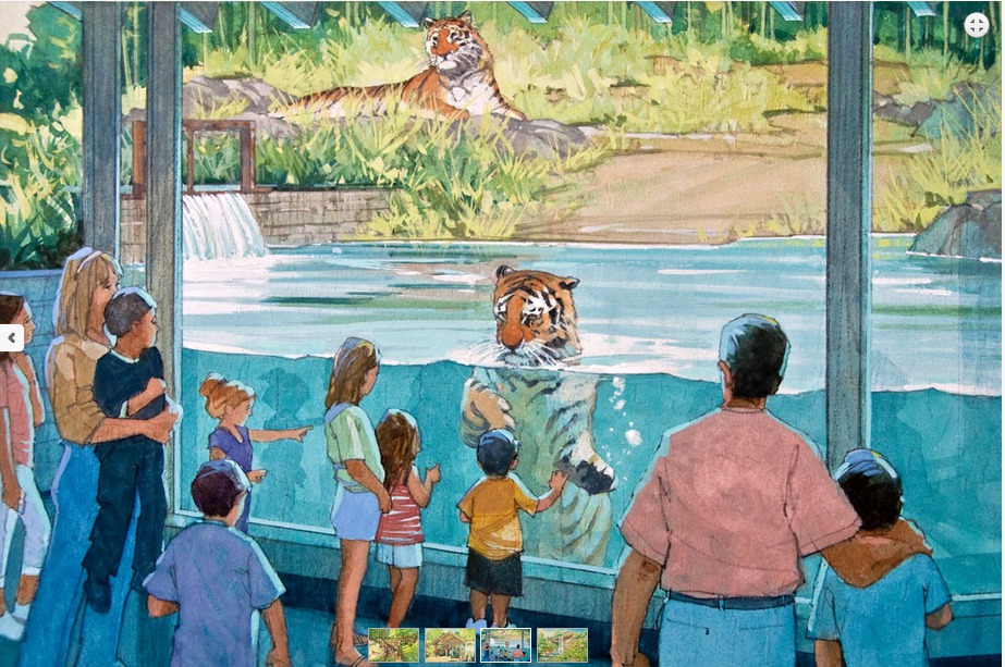 Tiger Trail Underwater View