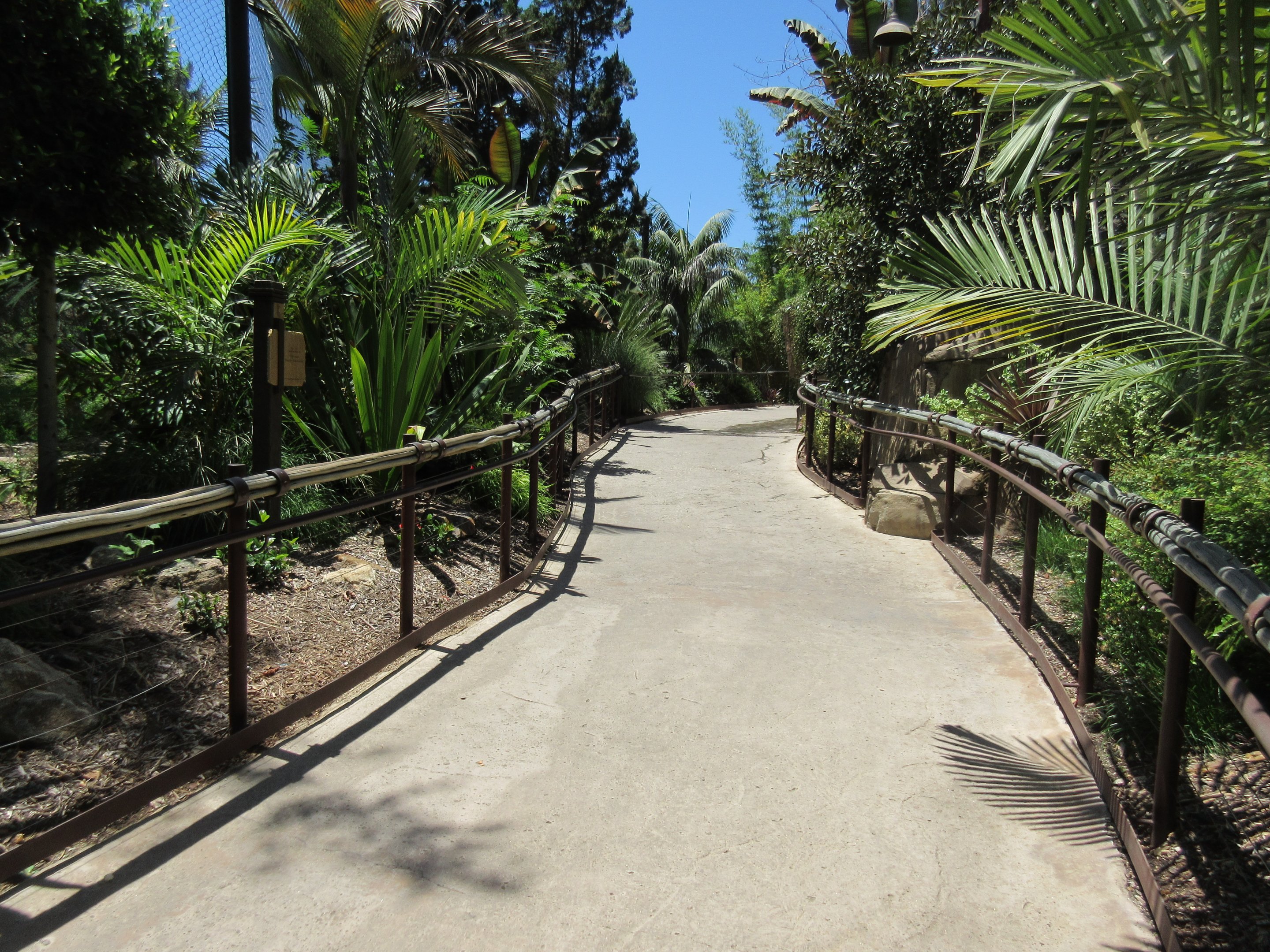Tiger Trail - Visitor Pathway