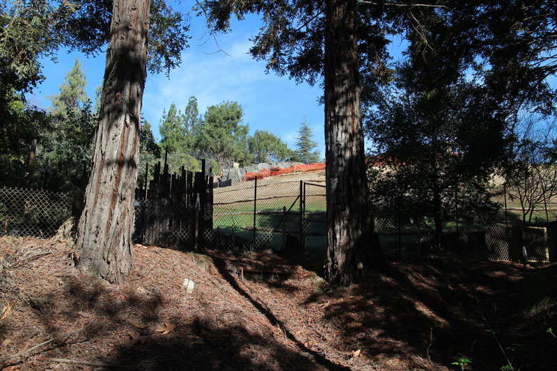 Tiger Trails construction