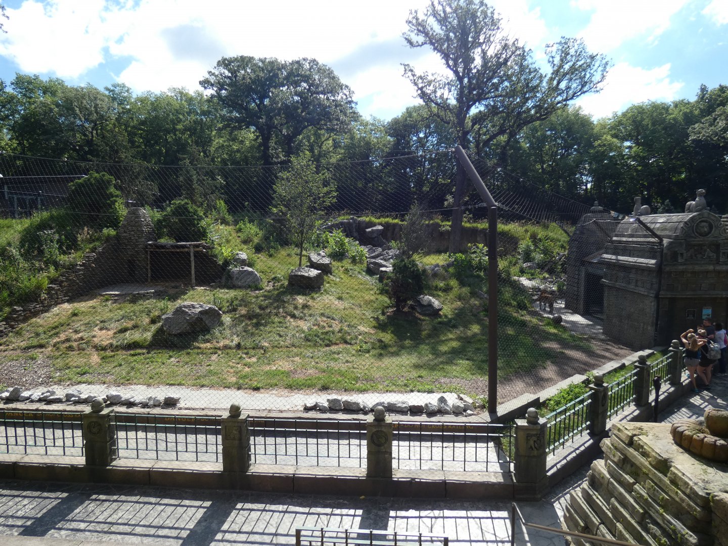 Tiger Training Area, Asian Highlands - Jun. 2021