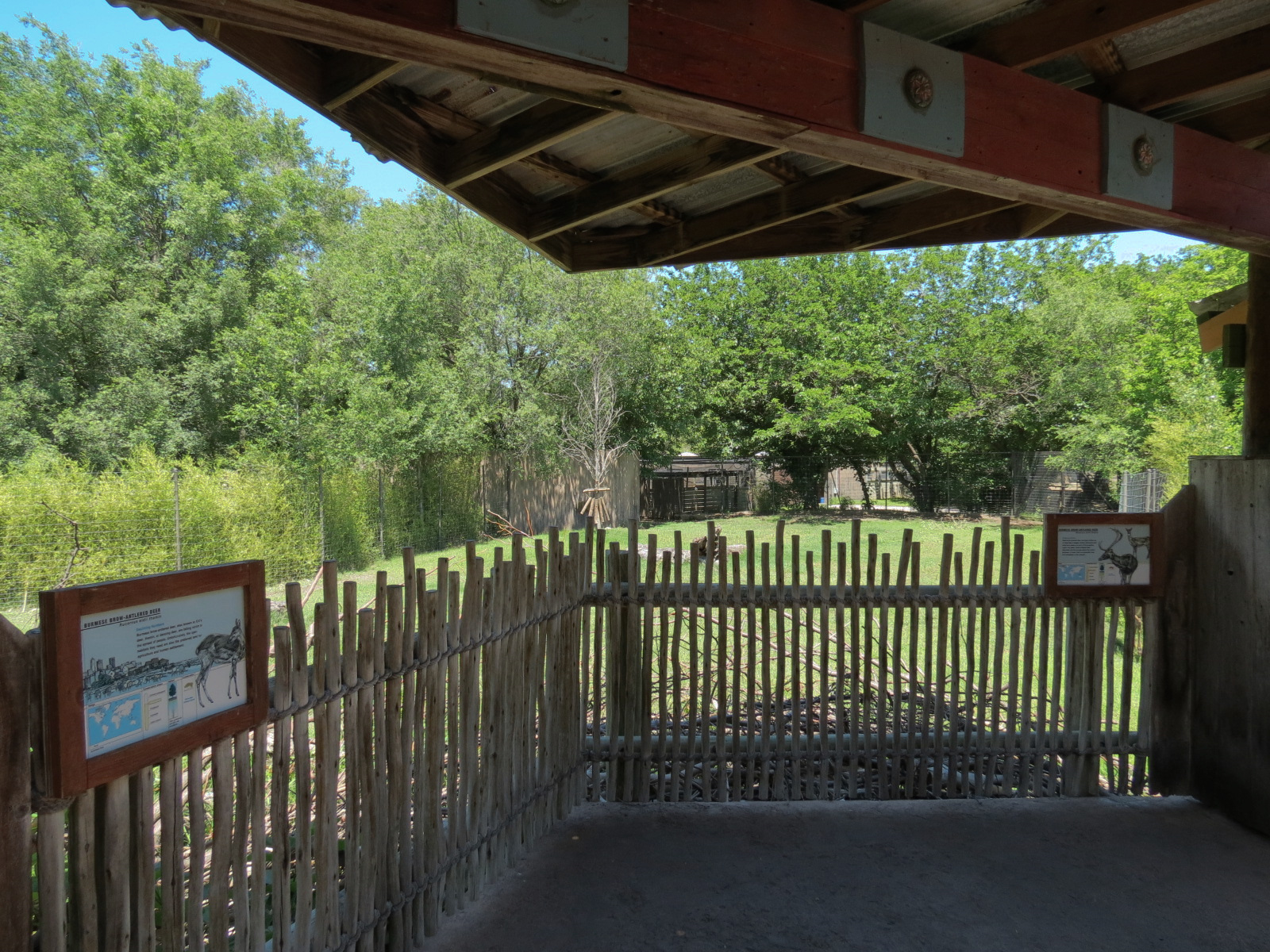 Tiger Trek - Burmese Brow-antlered Deer Exhibit Viewing Shelter