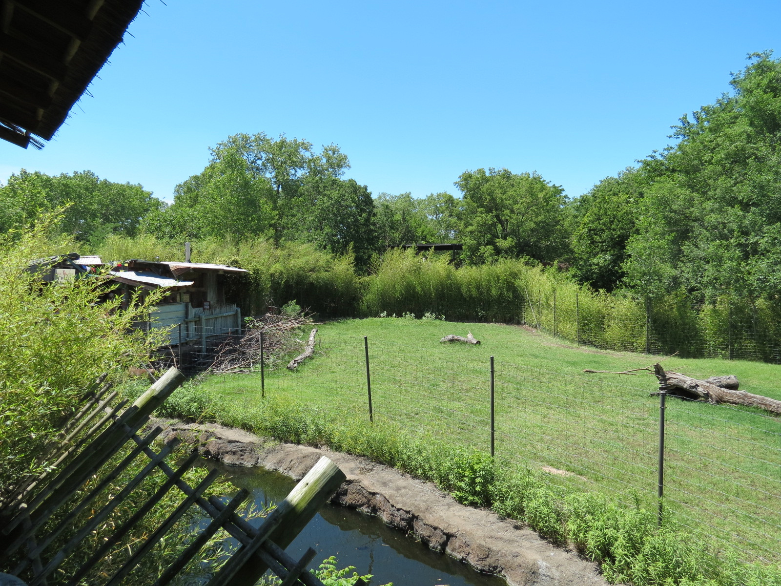 Tiger Trek - Burmese Brow-antlered Deer Exhibit