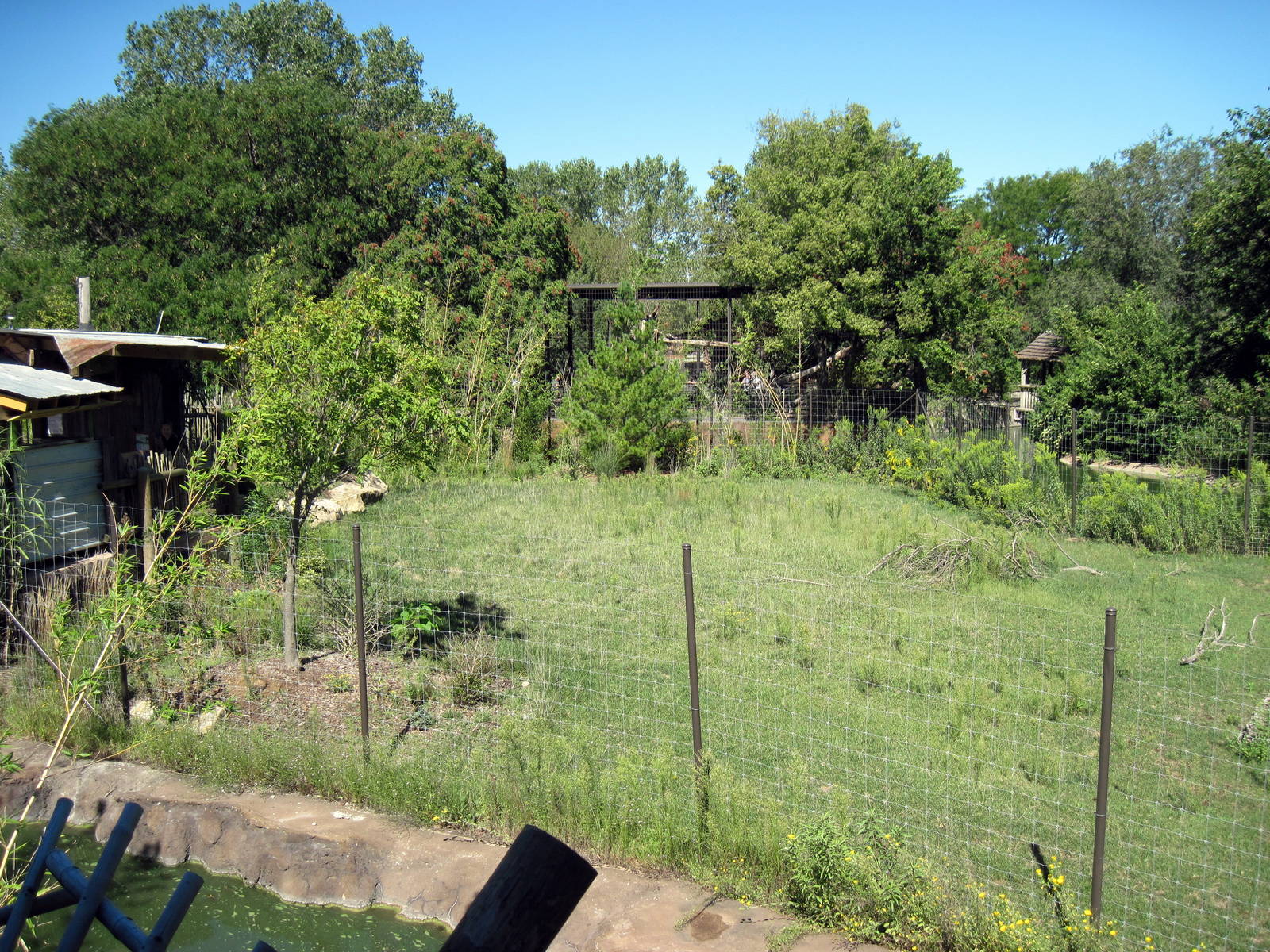 Tiger Trek-Eld's Deer Exhibit