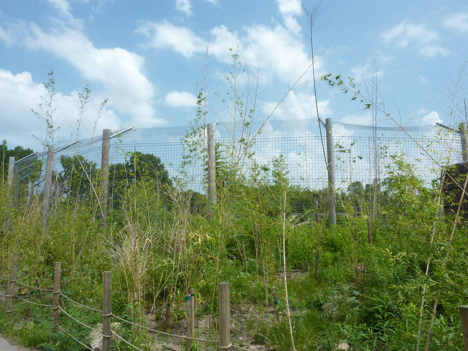 Tiger Trek - Exterior View Of Tiger Exhibit
