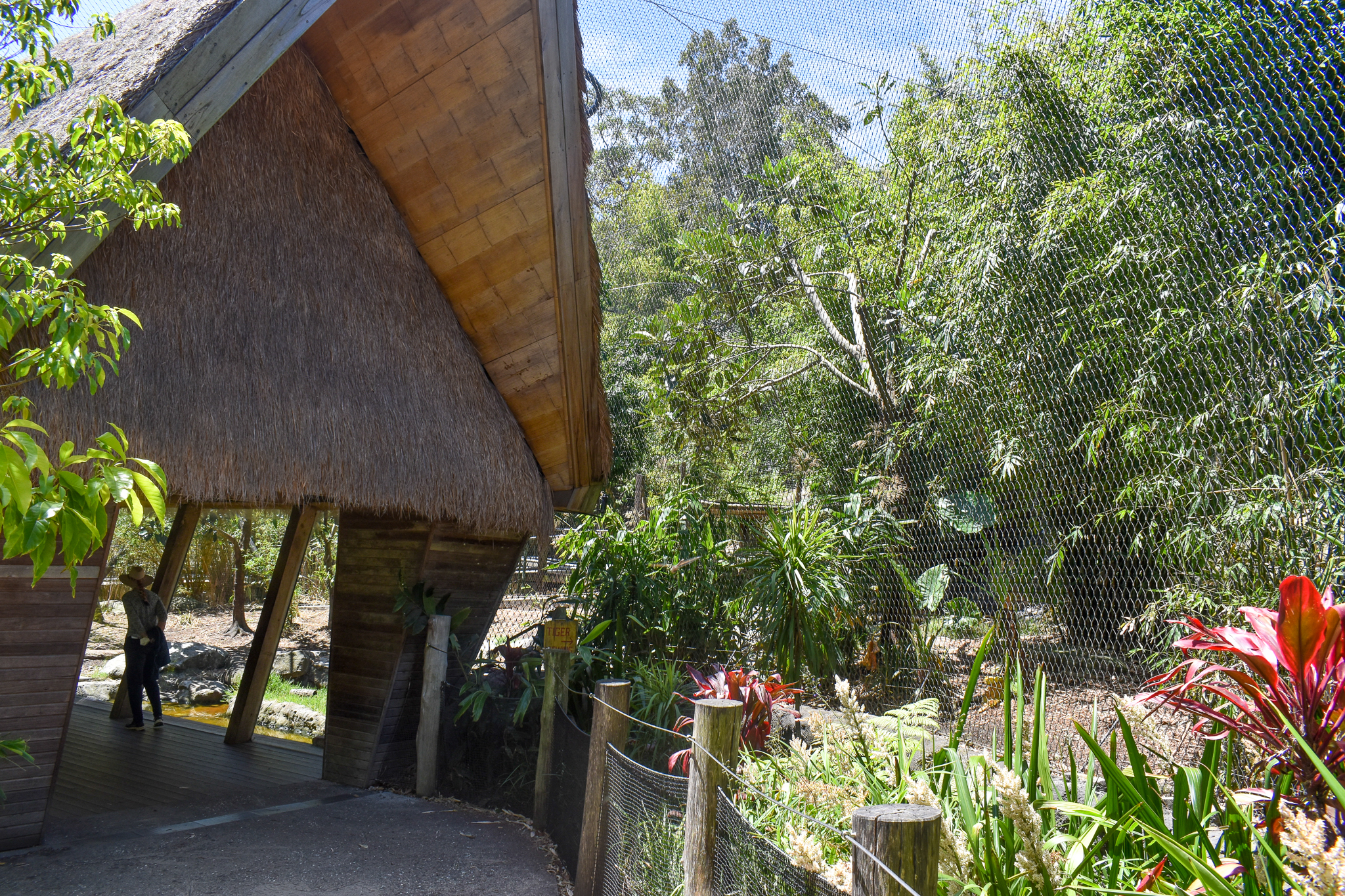 Tiger Trek - First Sumatran Tiger Enclosure