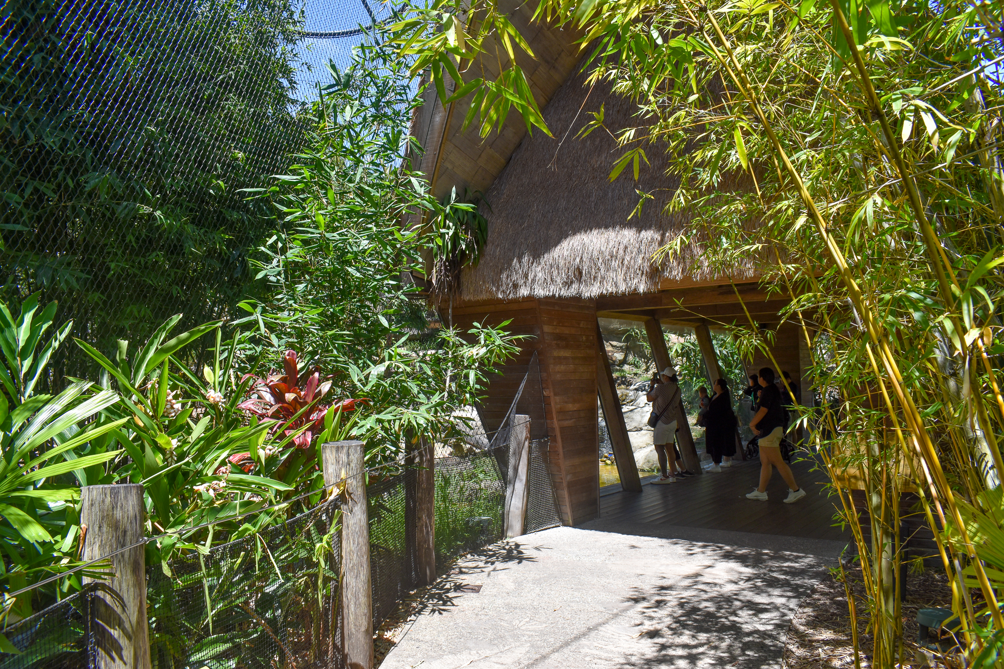 Tiger Trek - First Sumatran Tiger Enclosure